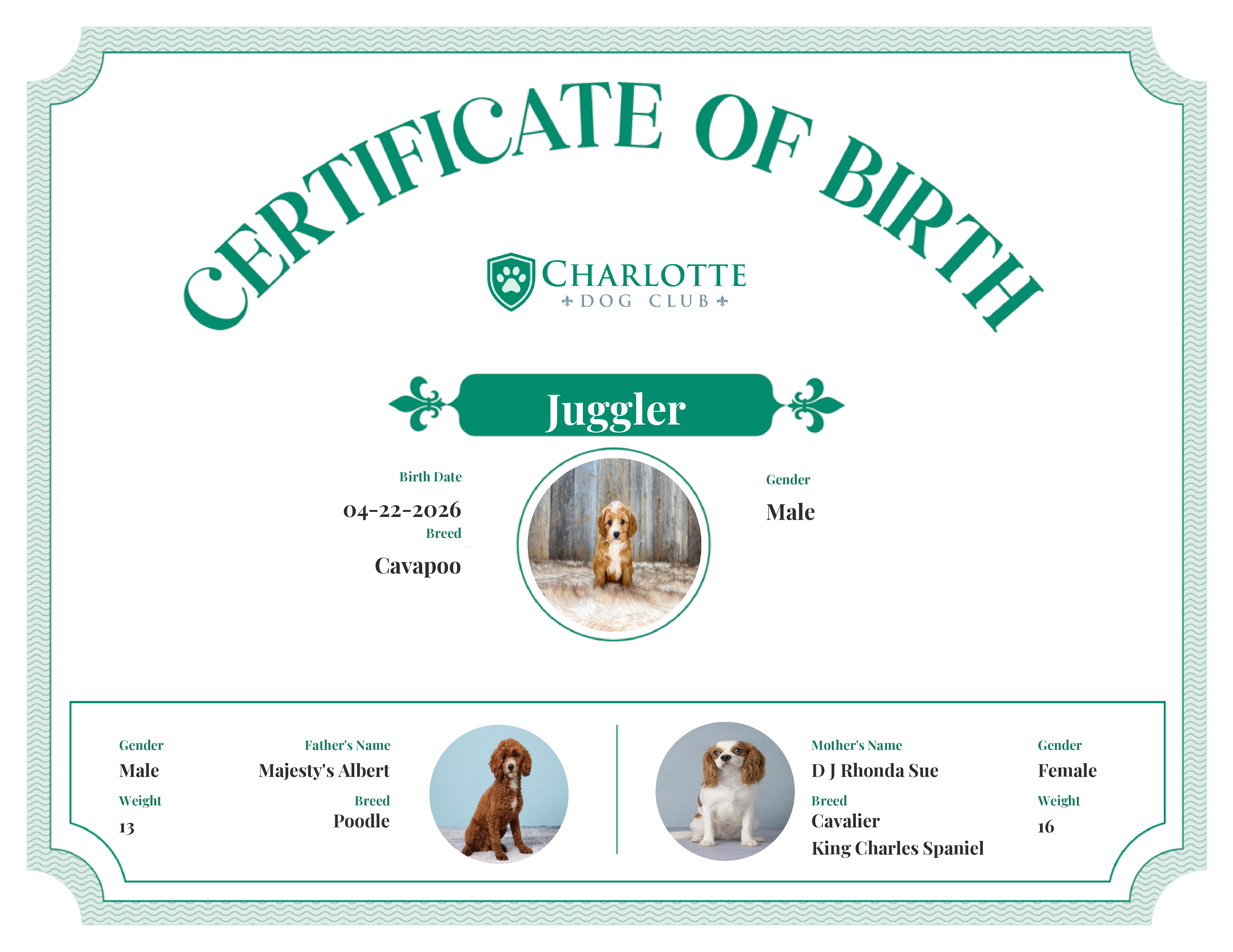 Juggler's Birth Certificate