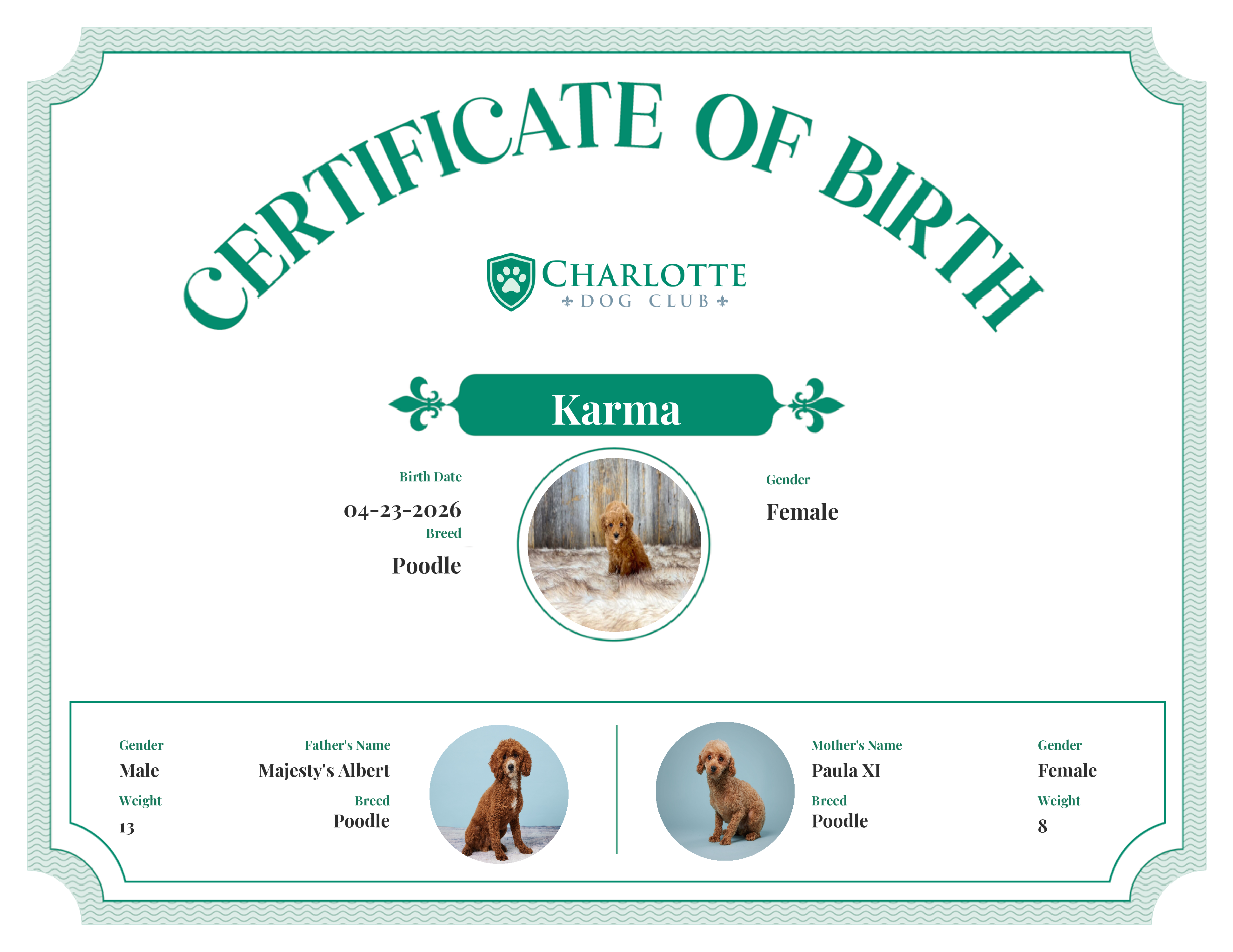 Karma's Birth Certificate