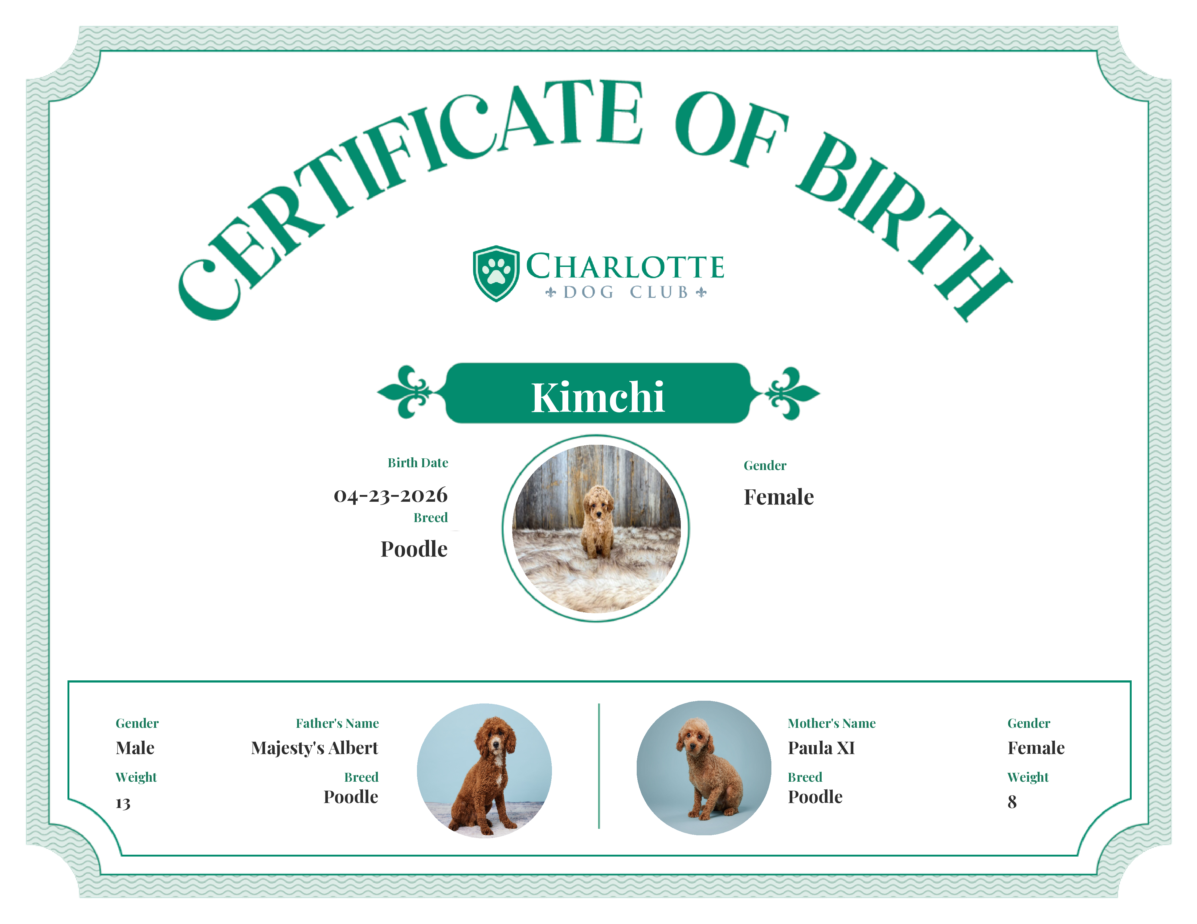Kimchi's Birth Certificate