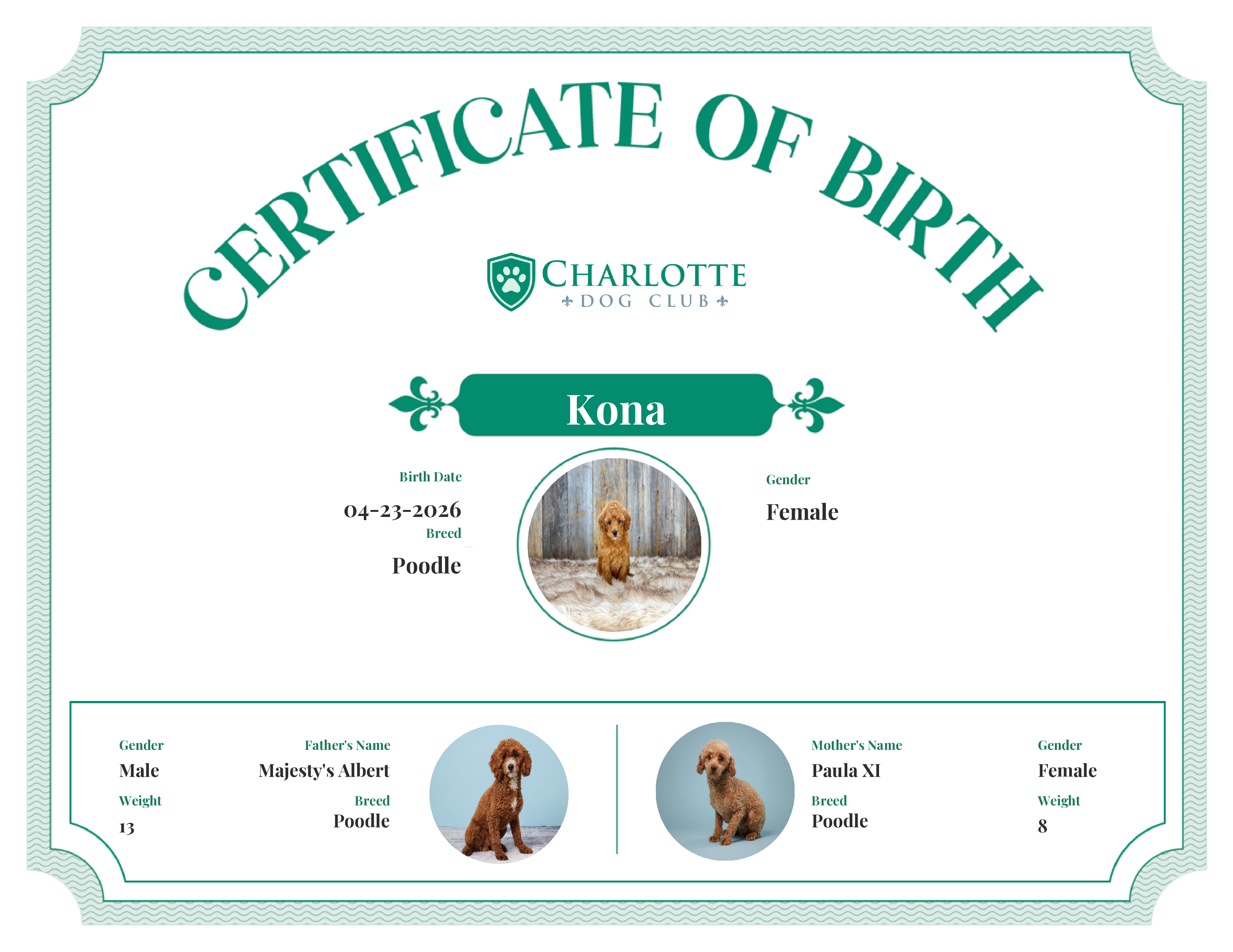 Kona's Birth Certificate