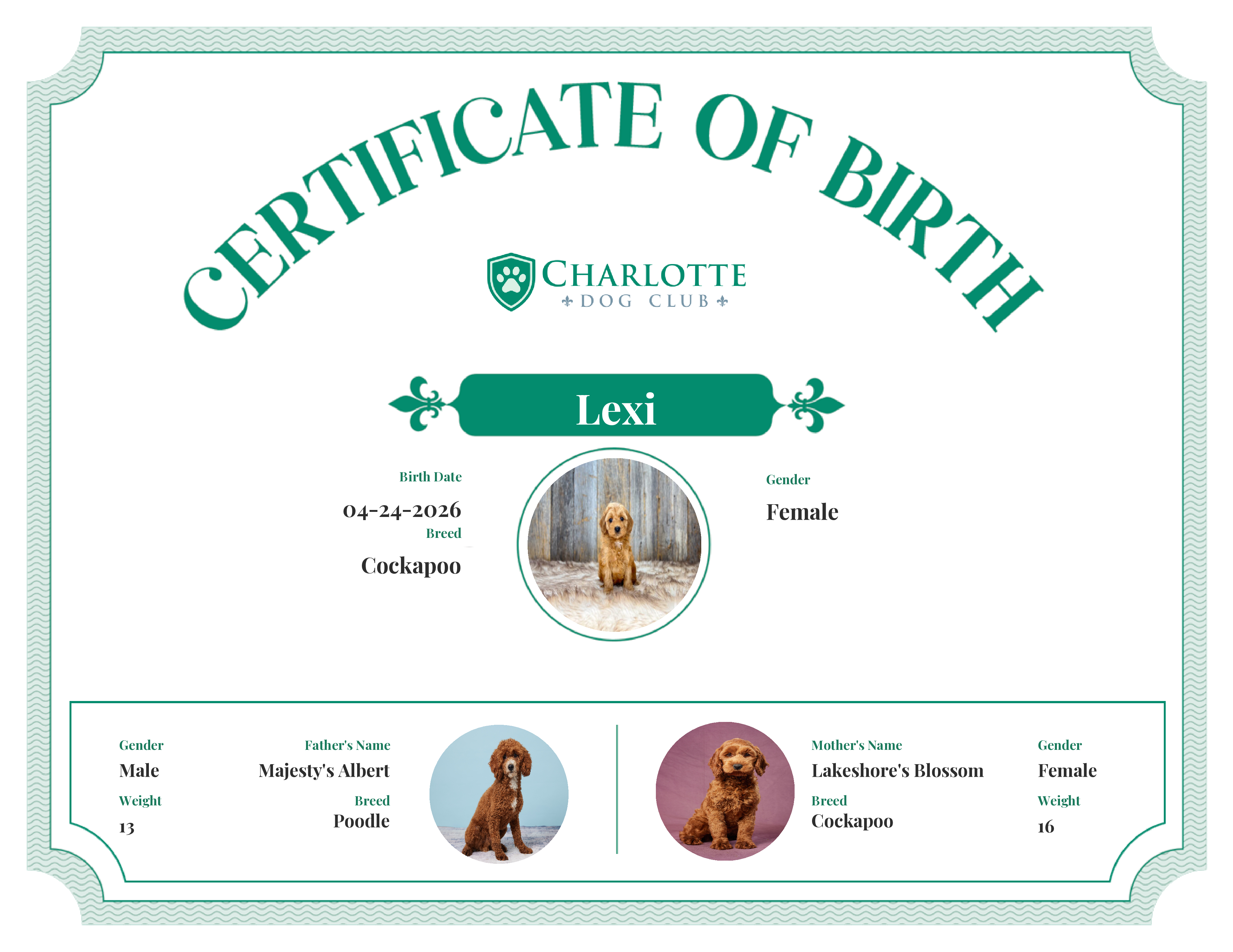 Lexi's Birth Certificate