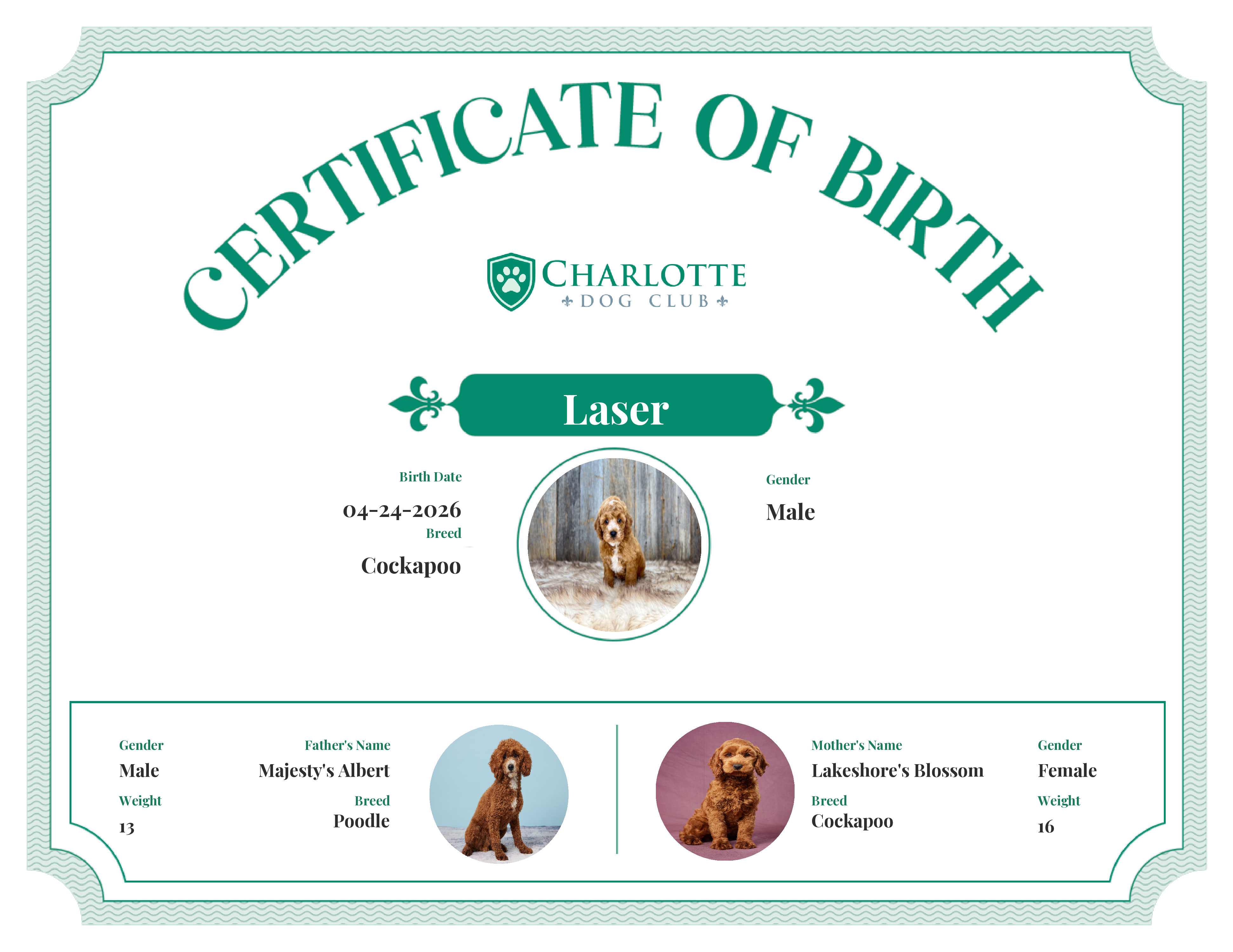 Laser's Birth Certificate