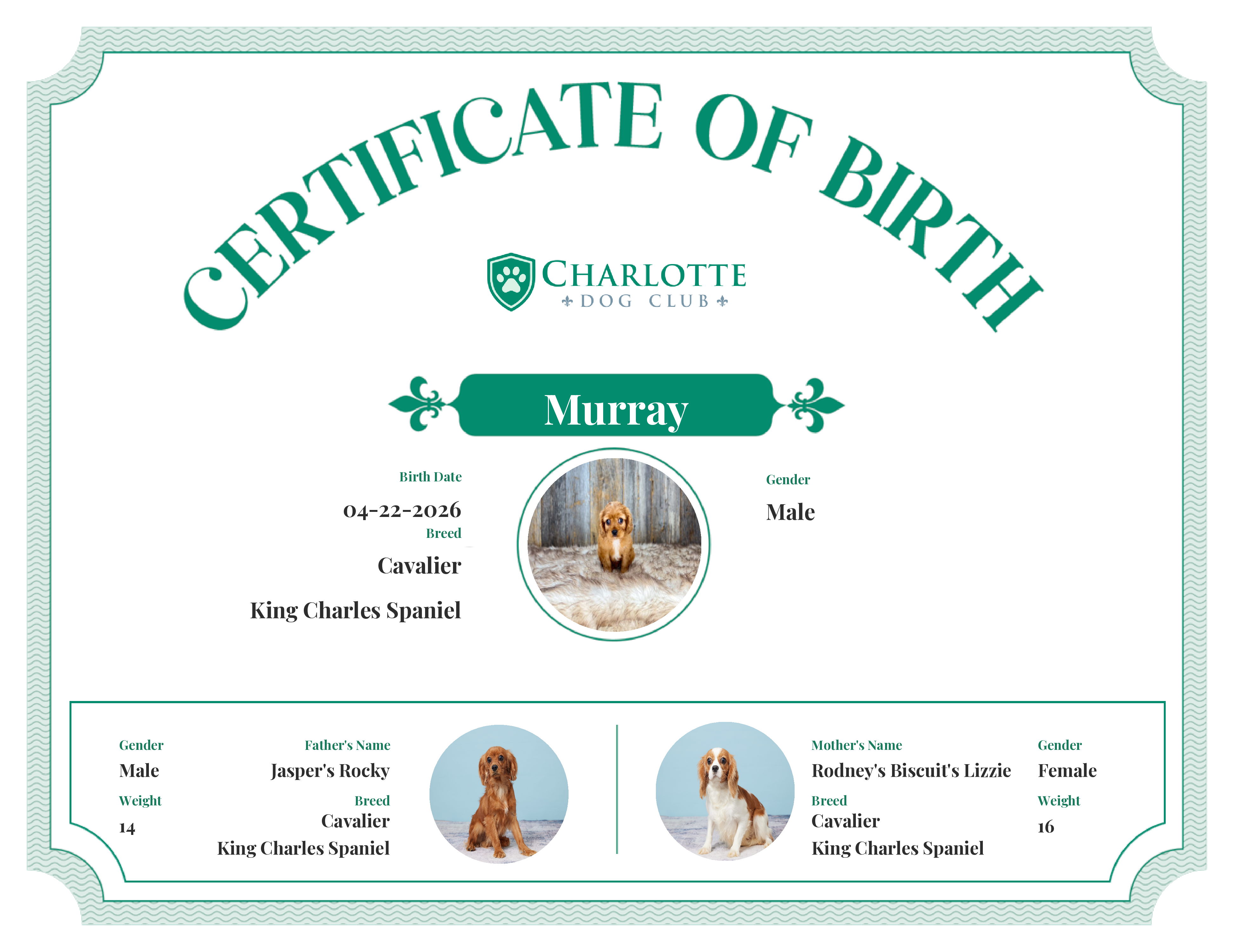 Murray's Birth Certificate