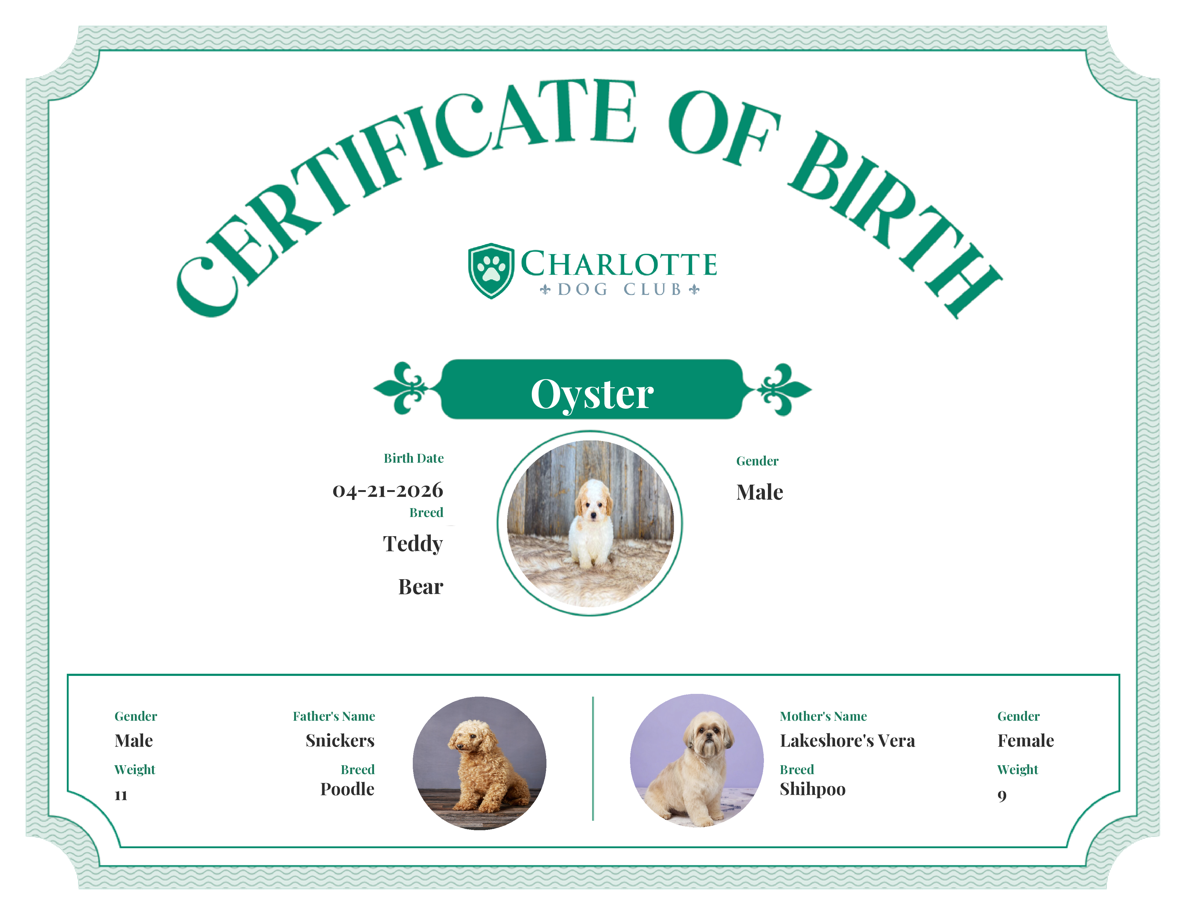 Oyster's Birth Certificate