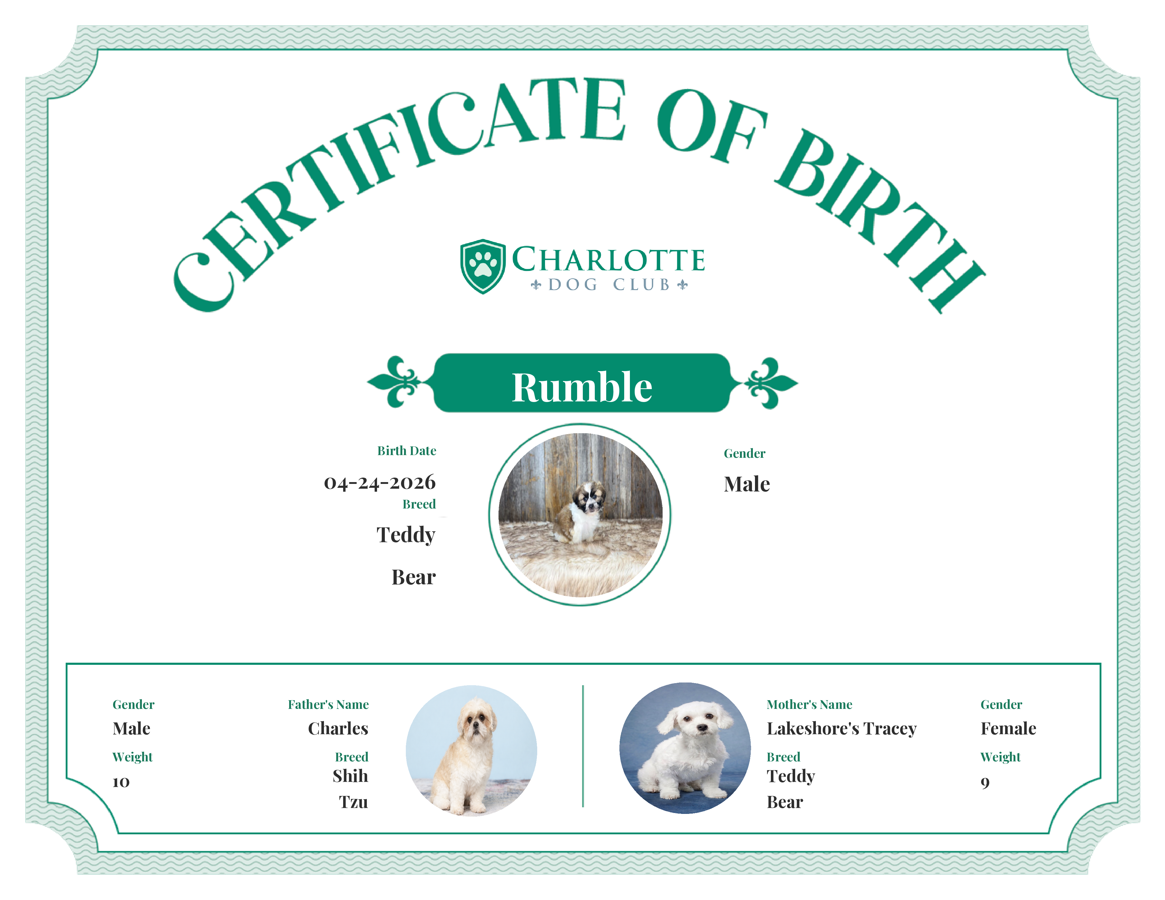 Rumble's Birth Certificate