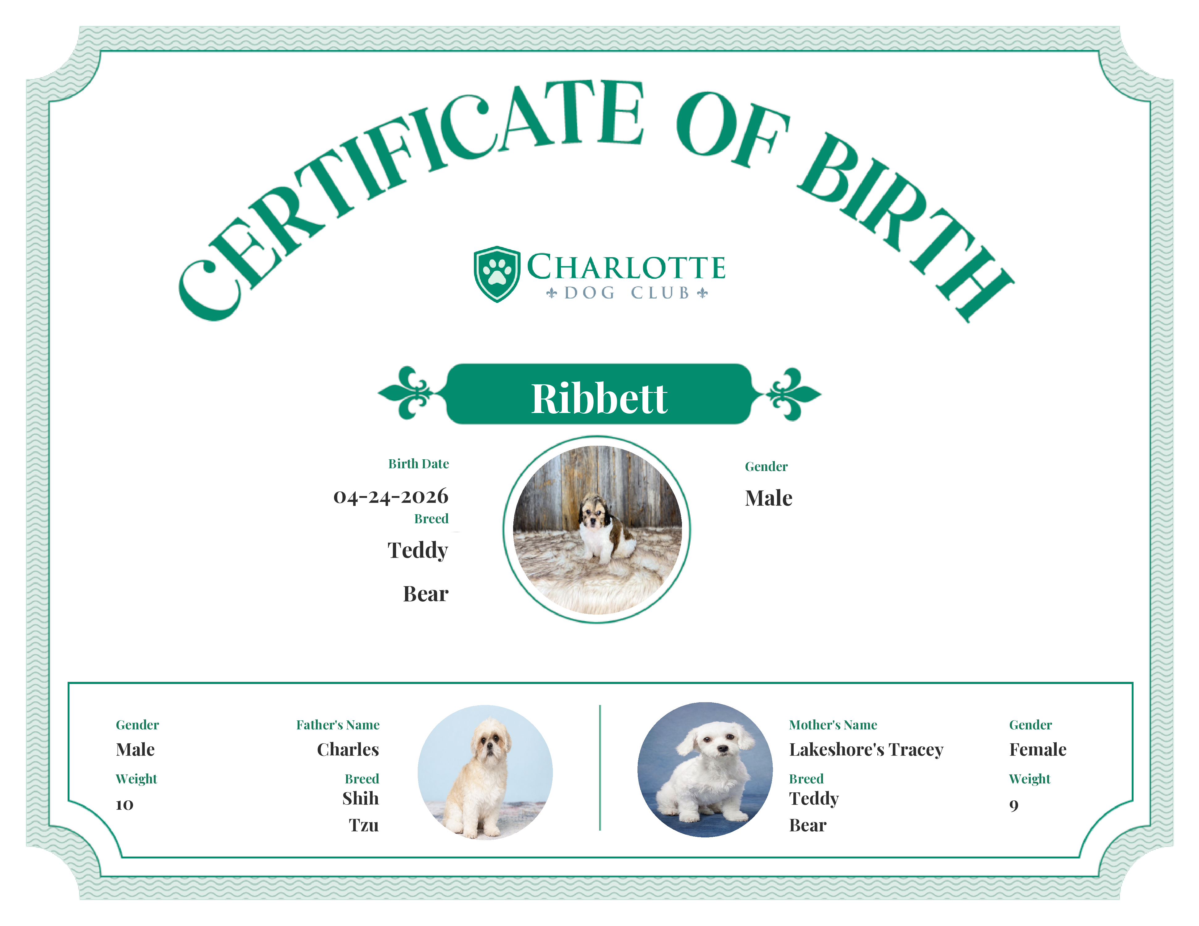 Ribbett's Birth Certificate