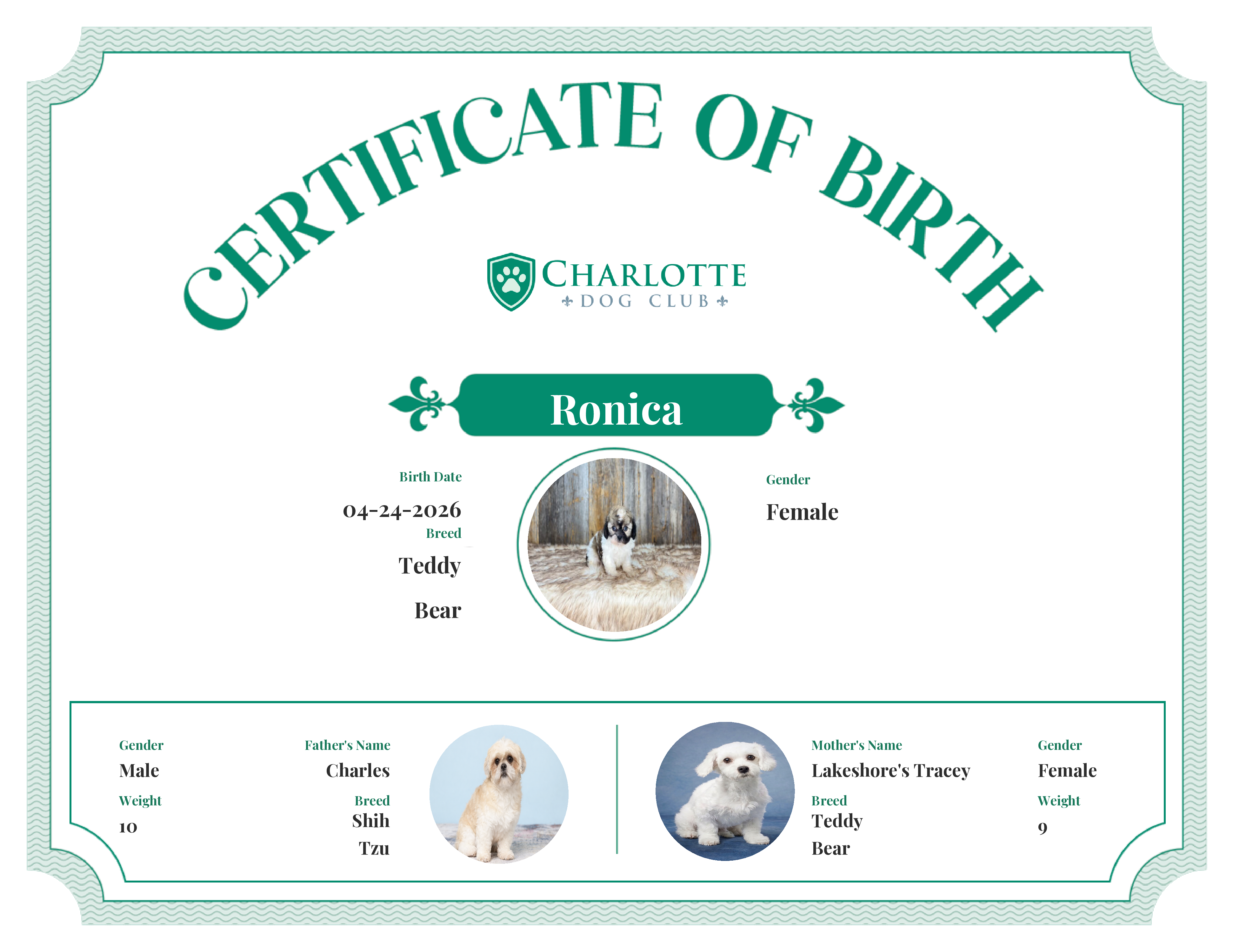 Ronica's Birth Certificate