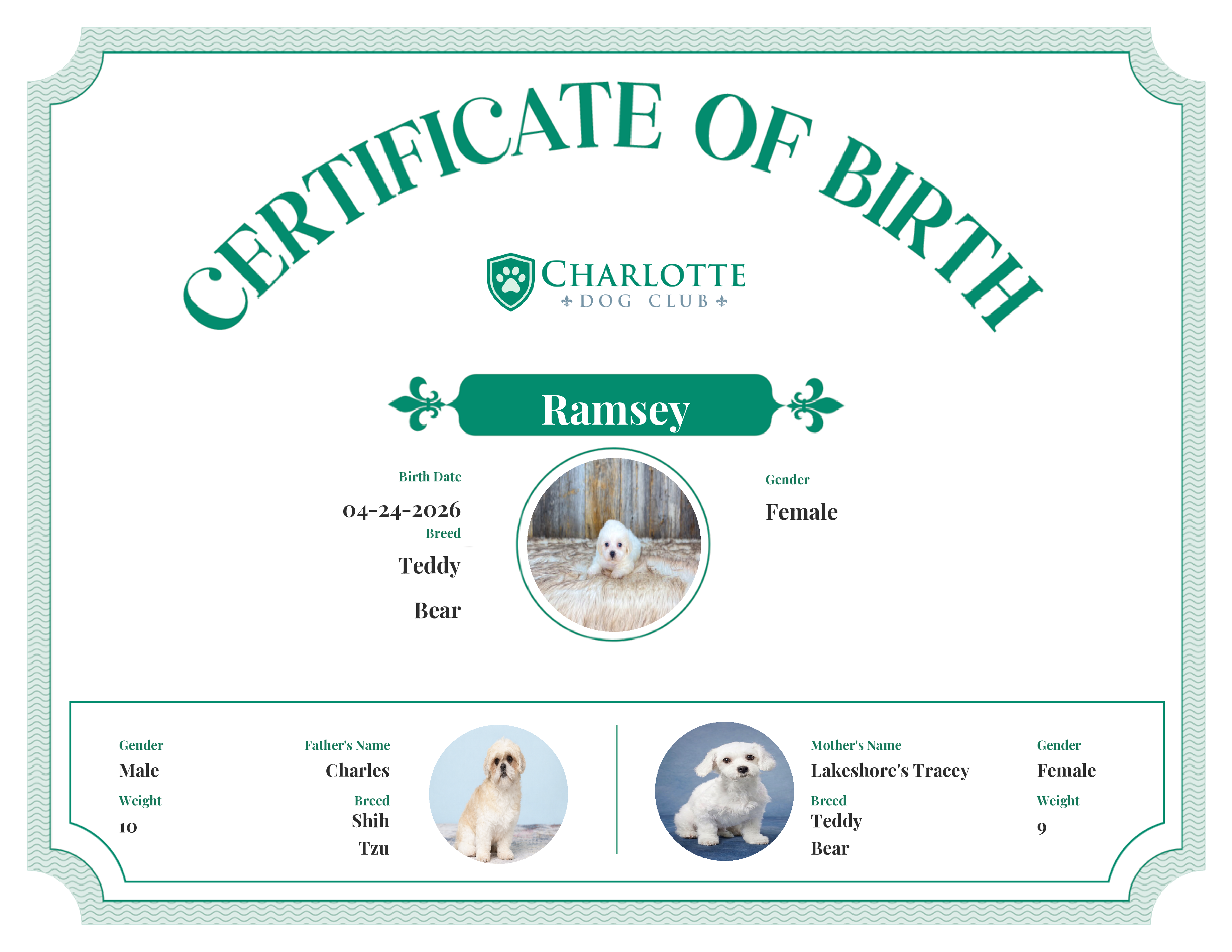Ramsey's Birth Certificate
