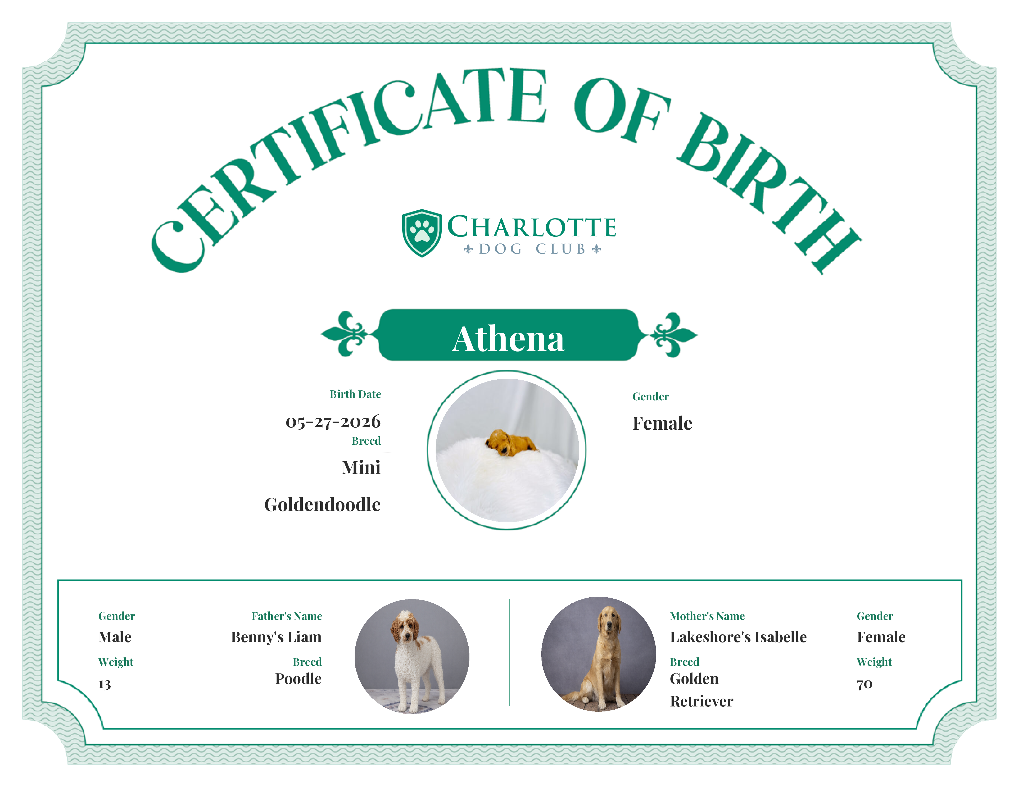 Athena's Birth Certificate