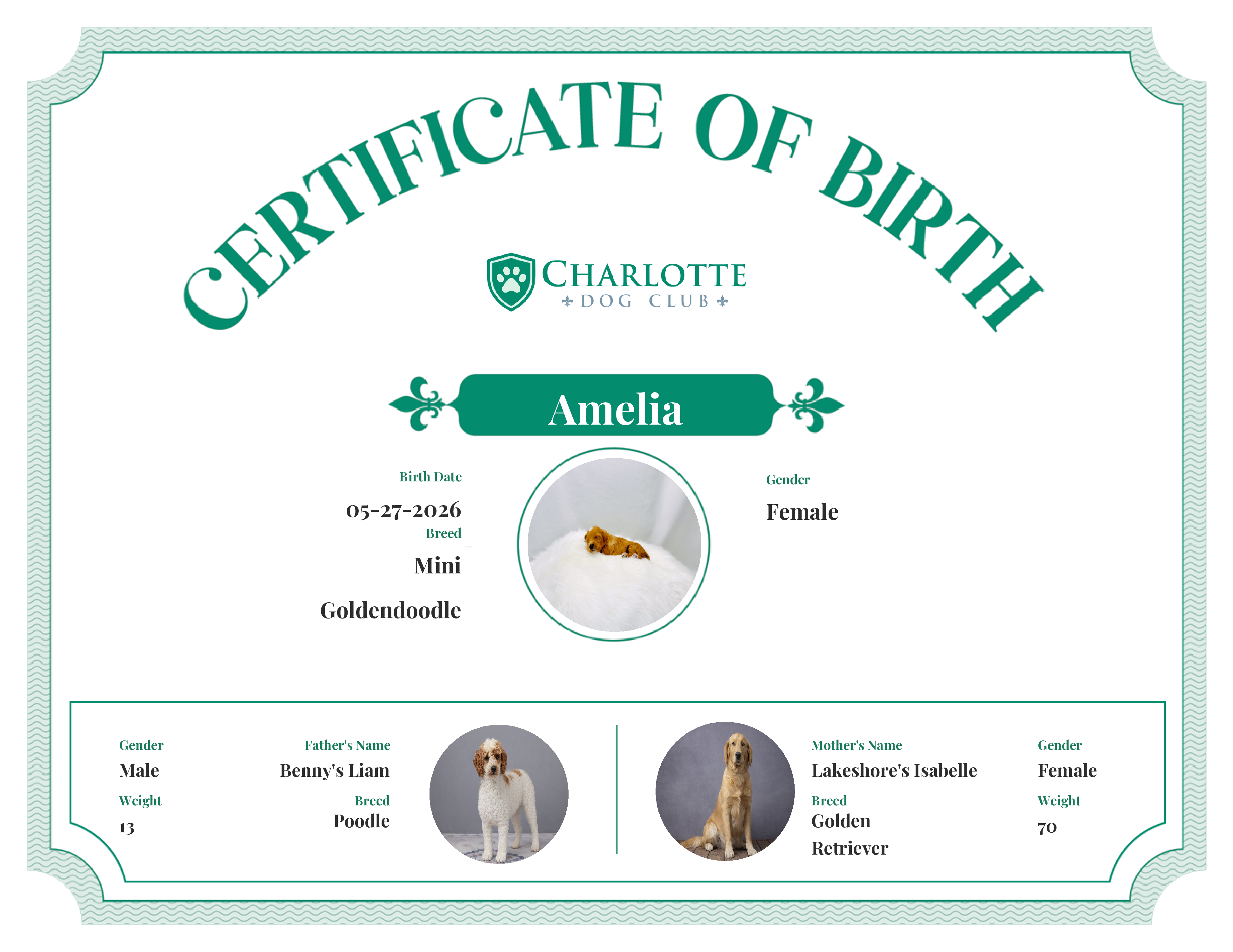 Amelia's Birth Certificate