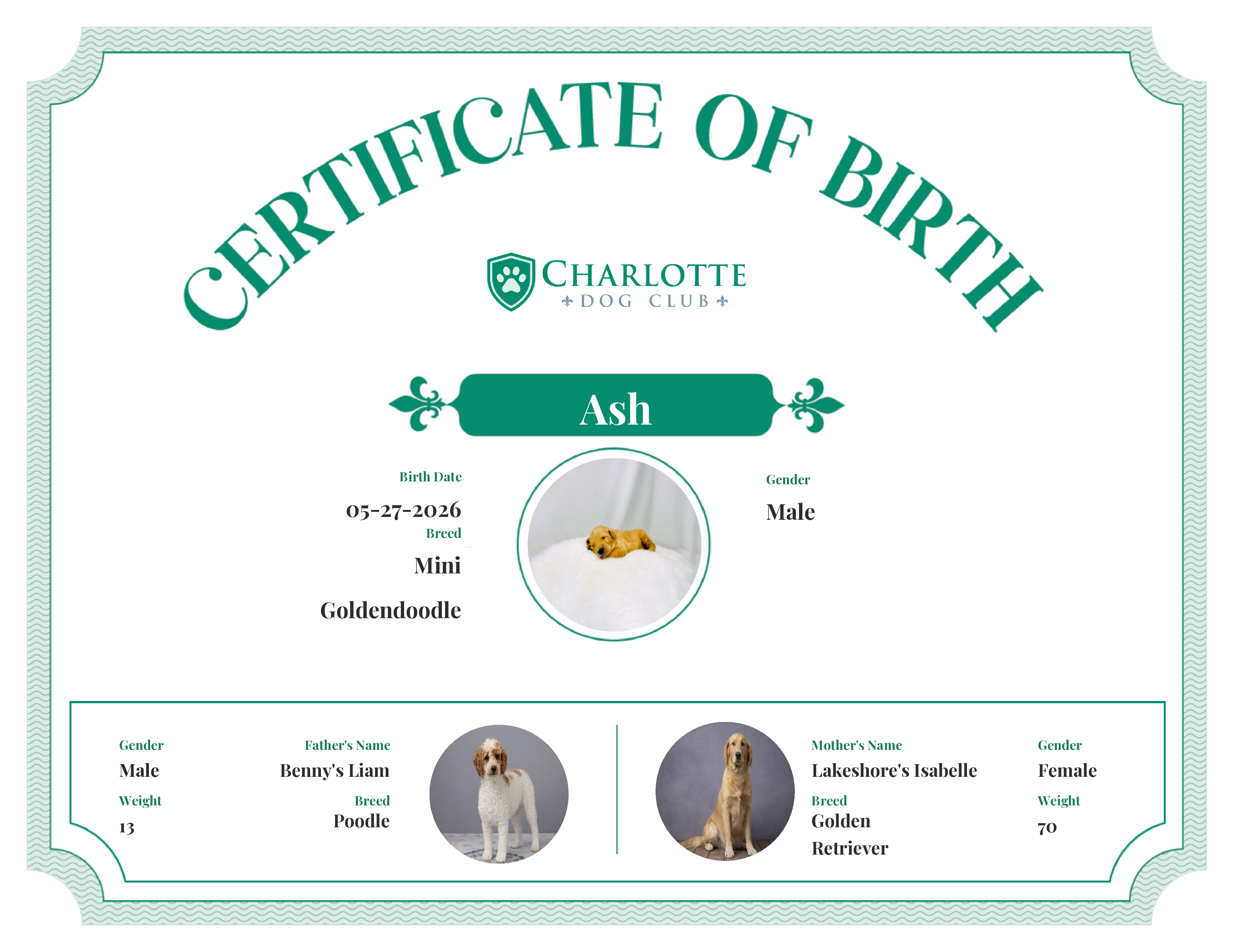 Ash's Birth Certificate