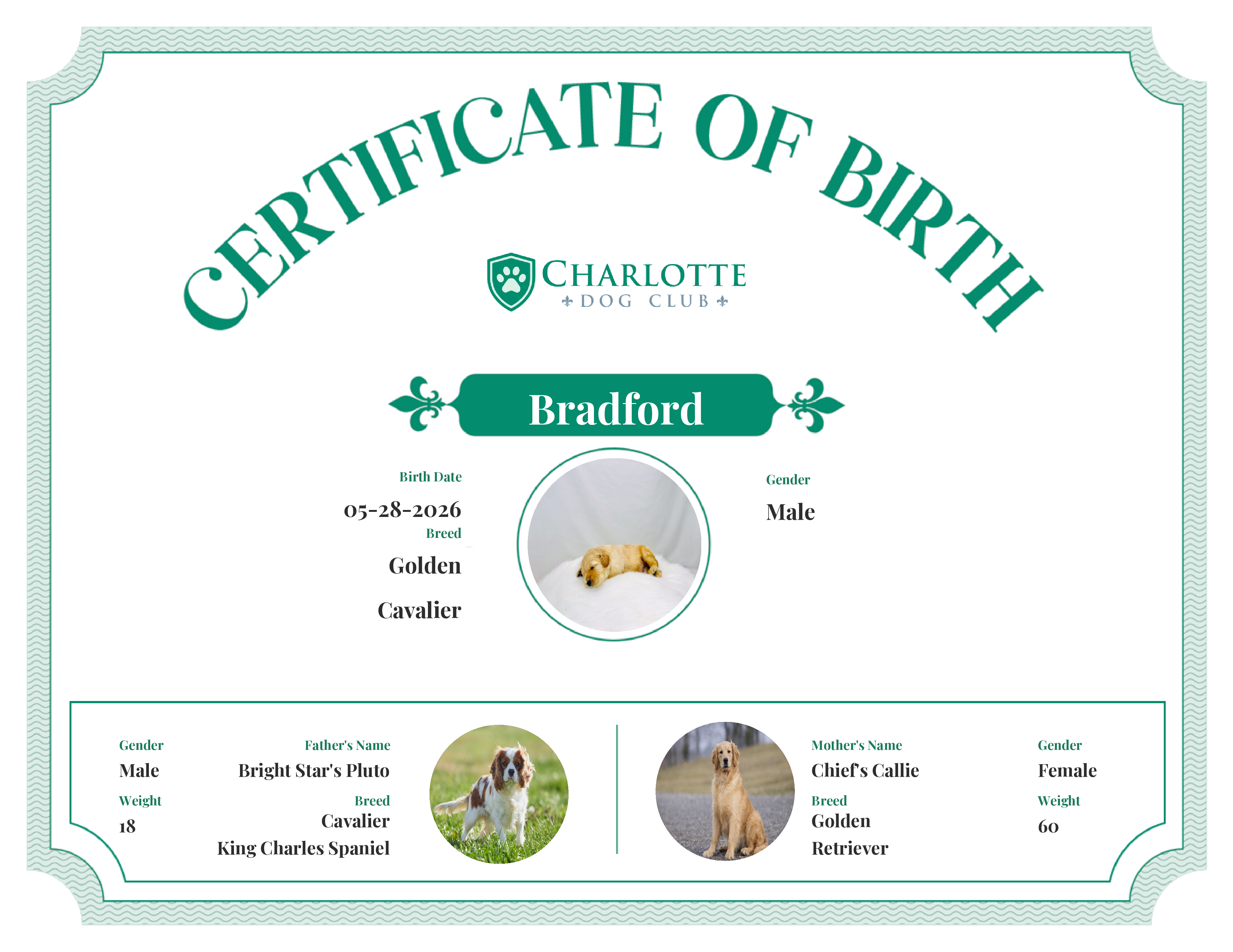Bradford's Birth Certificate