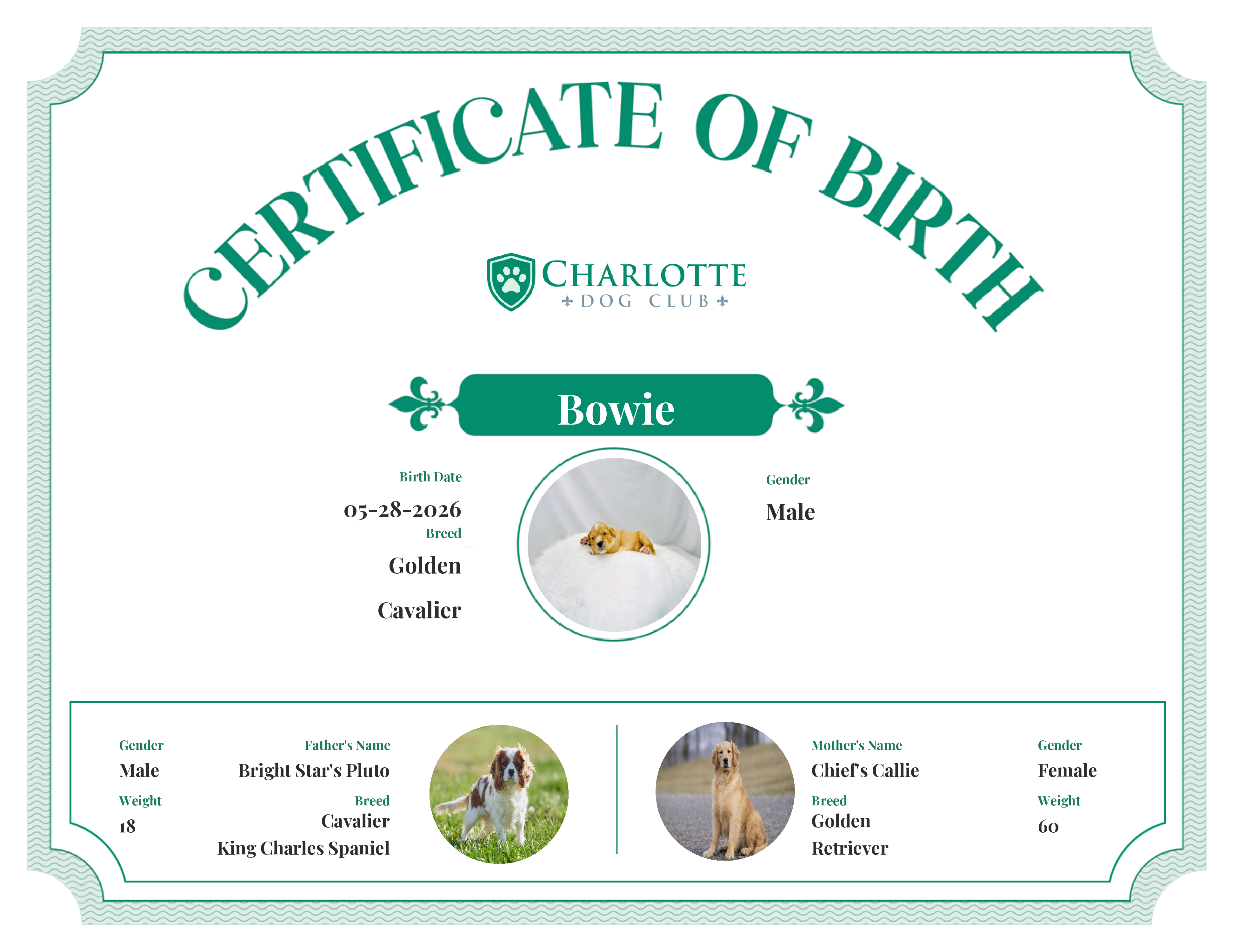 Bowie's Birth Certificate