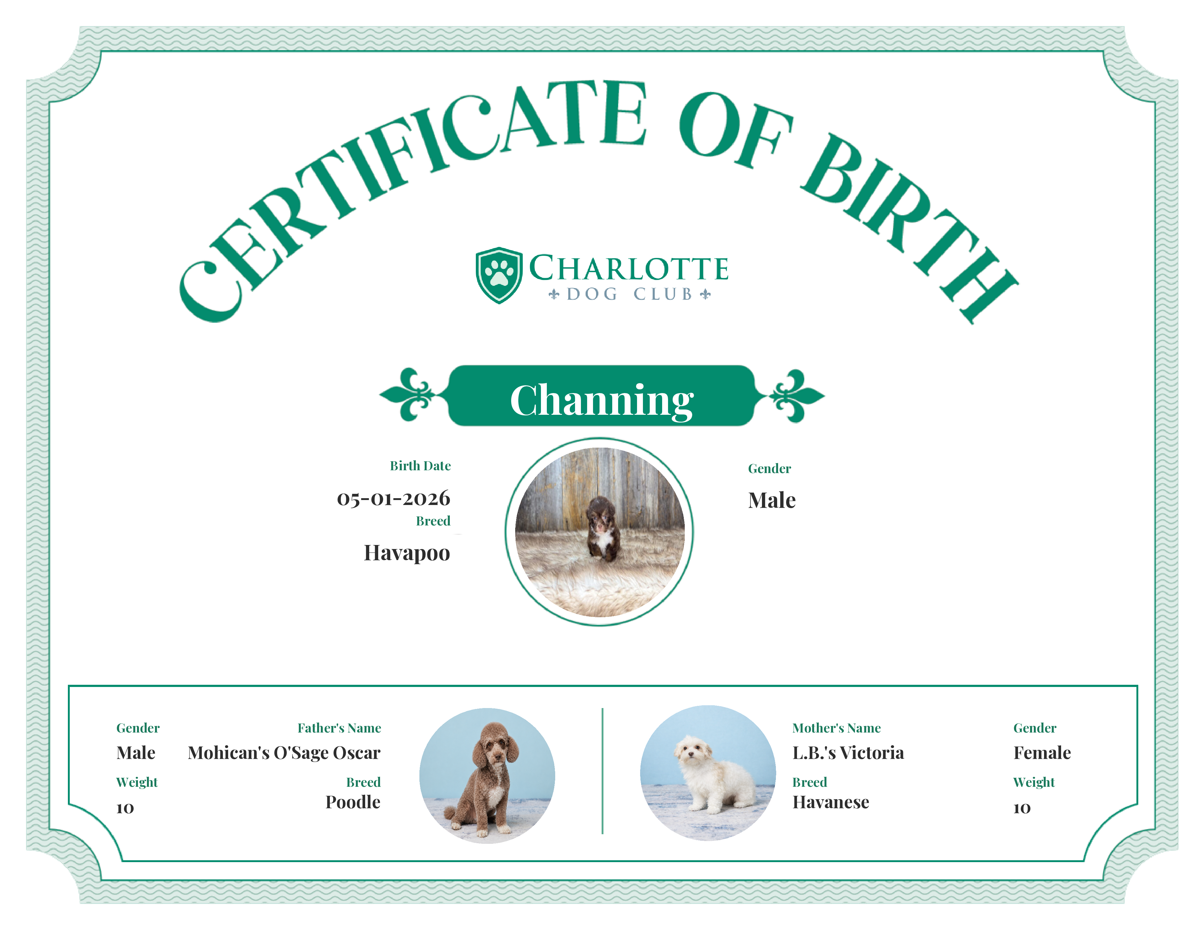 Channing's Birth Certificate