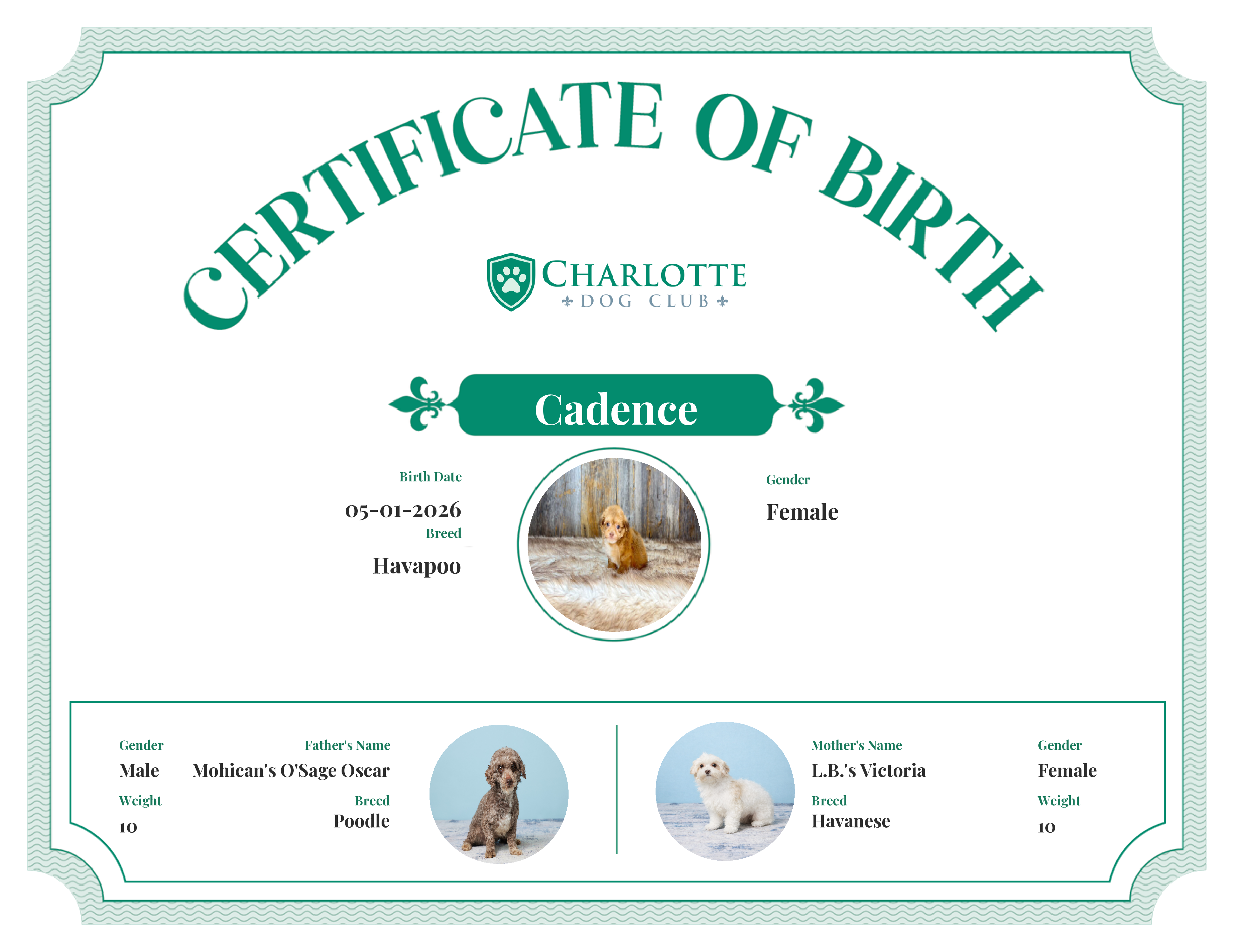 Cadence's Birth Certificate