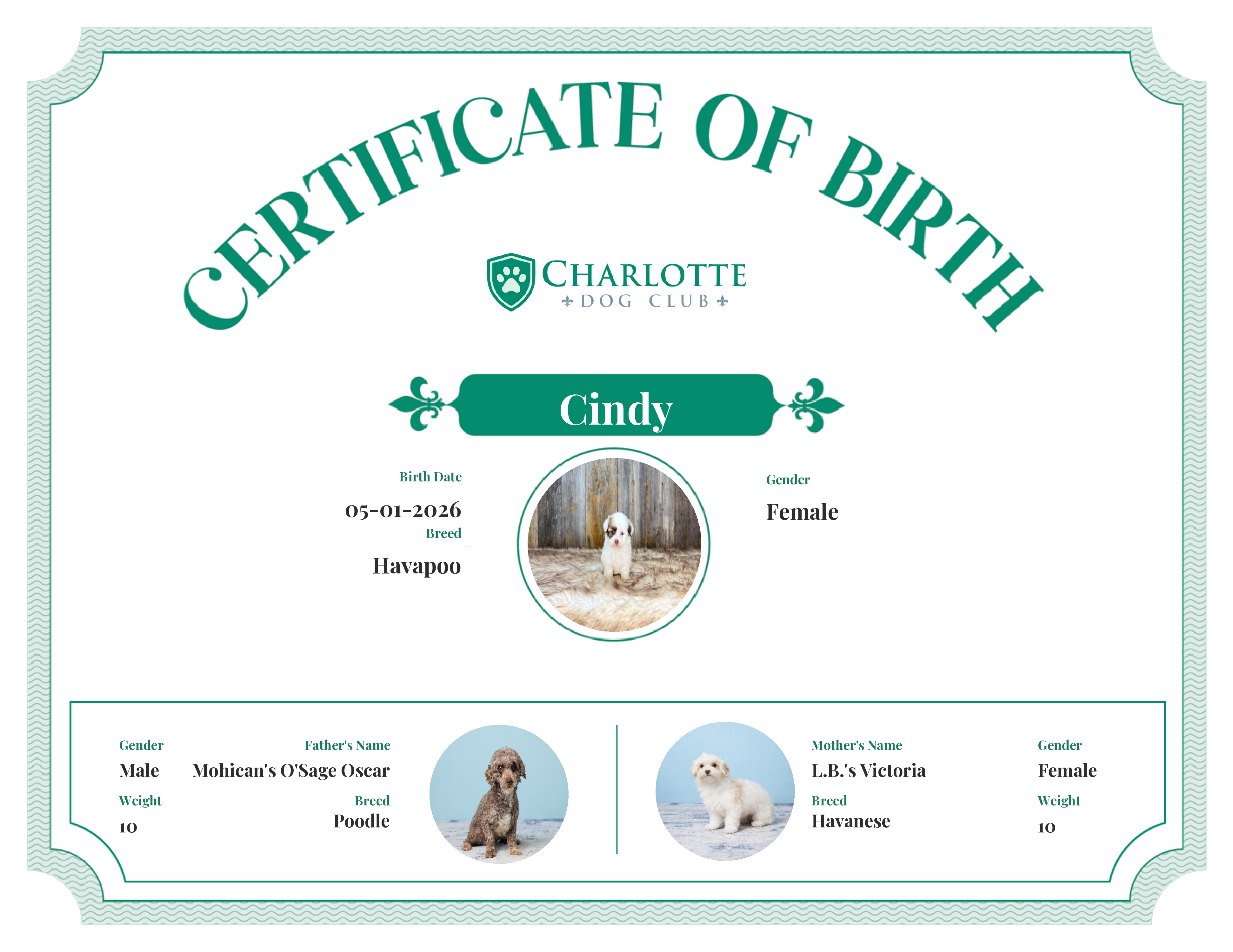 Cindy's Birth Certificate