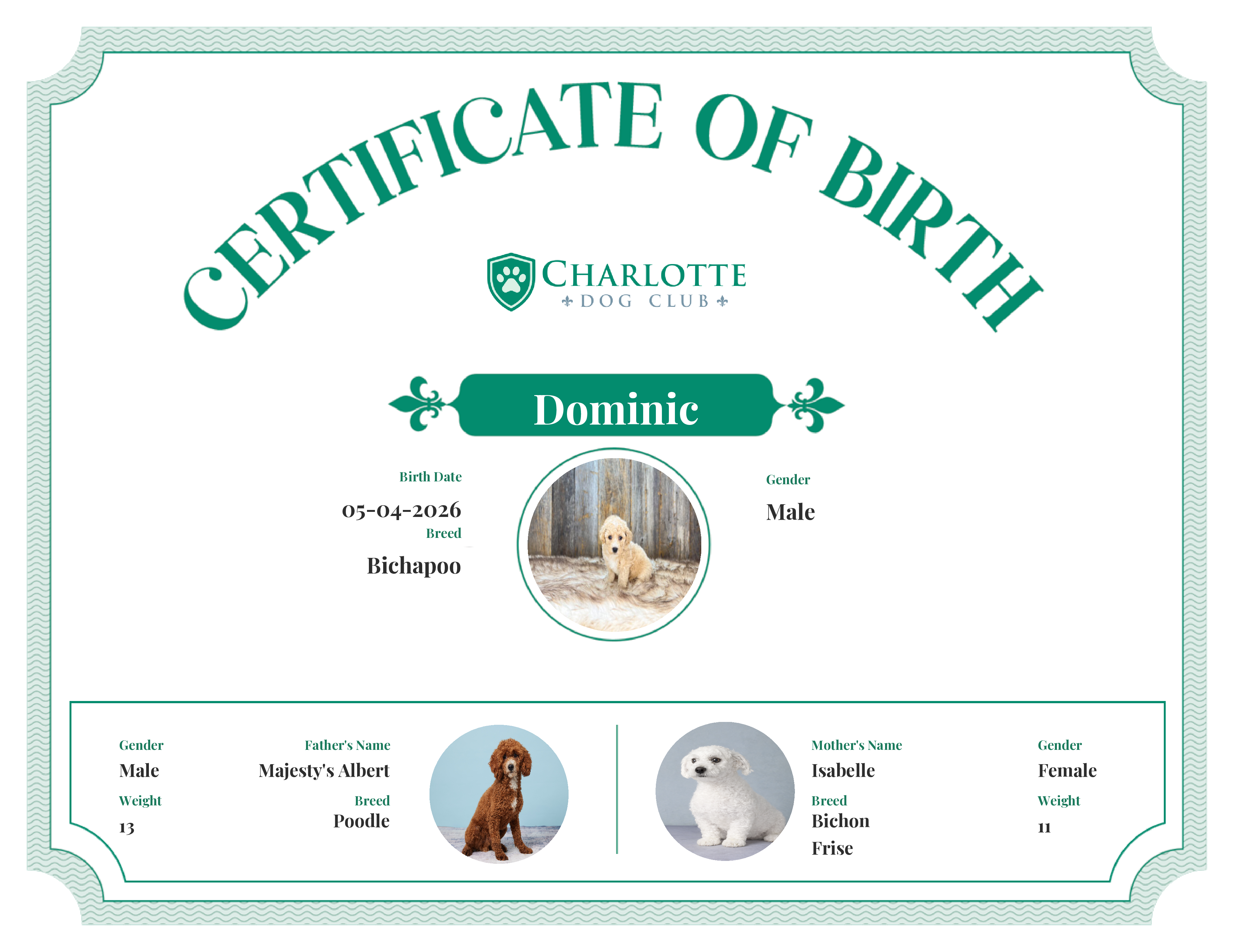 Dominic's Birth Certificate