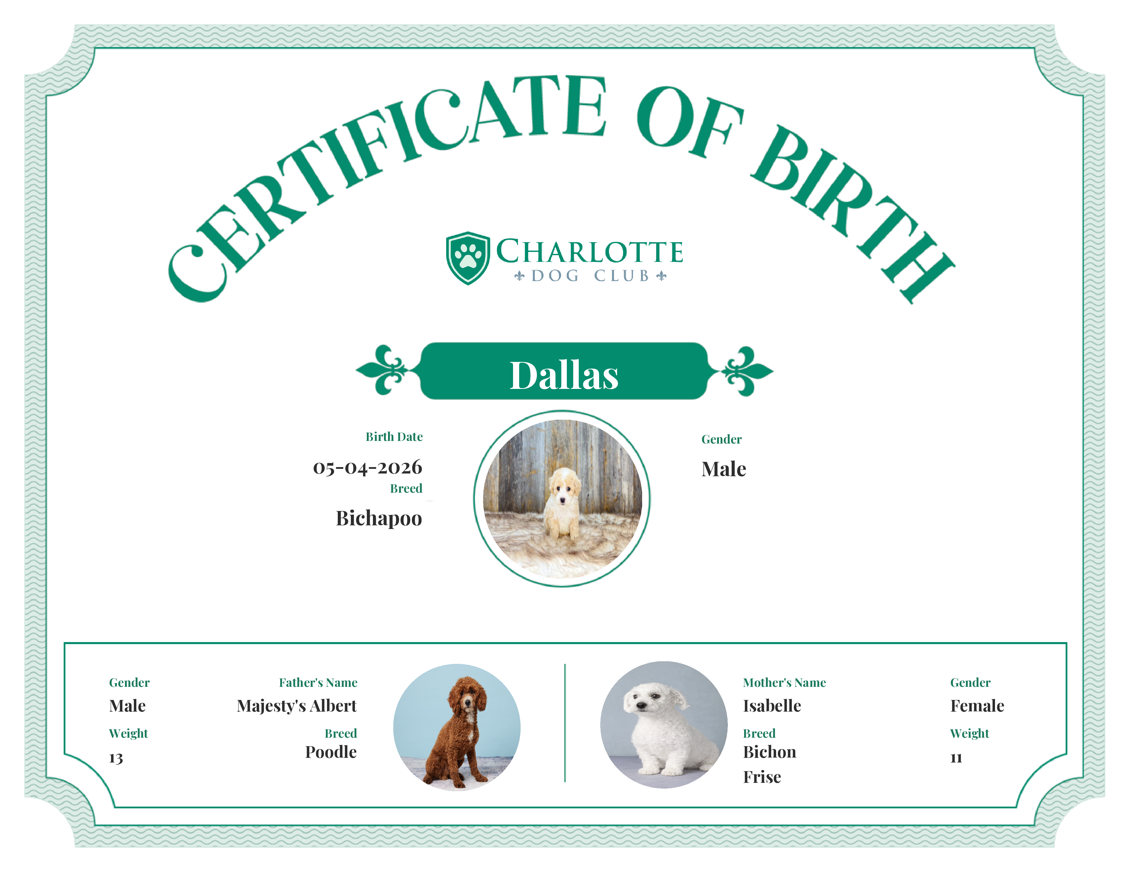 Dallas's Birth Certificate