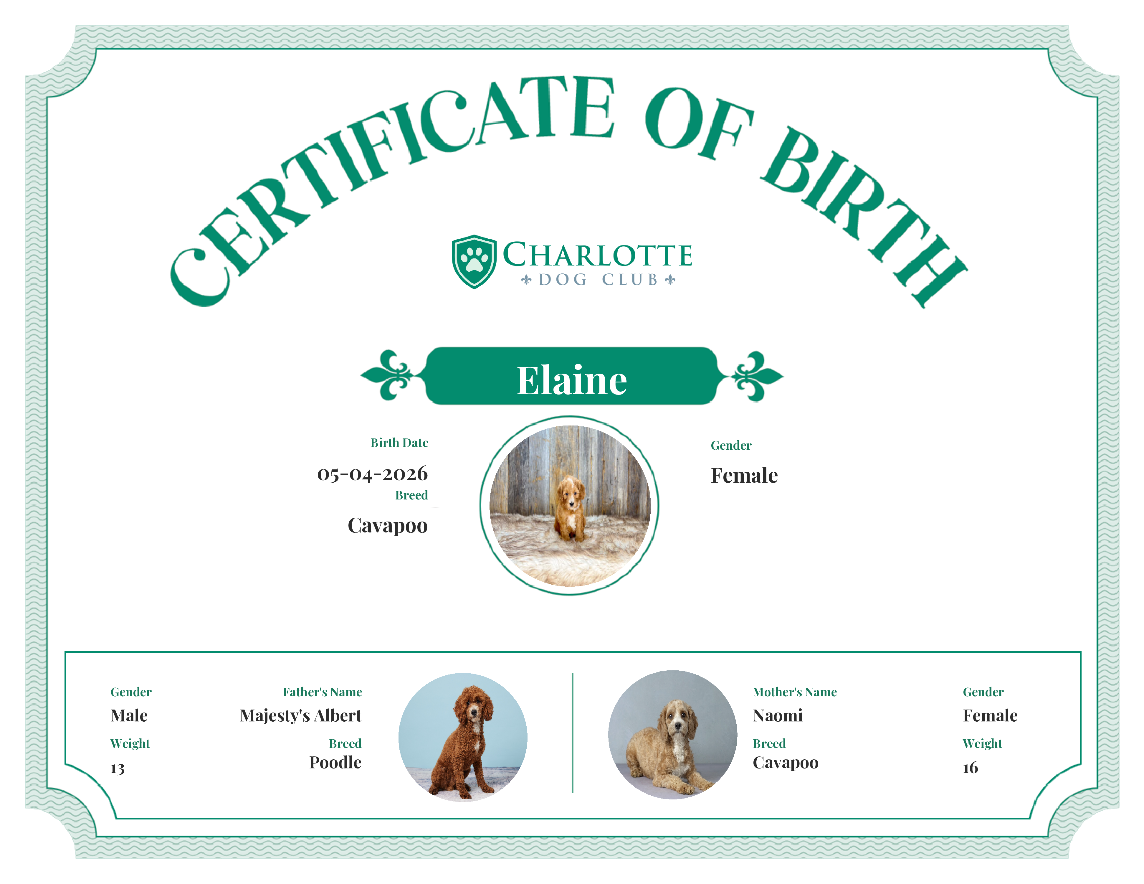 Elaine's Birth Certificate