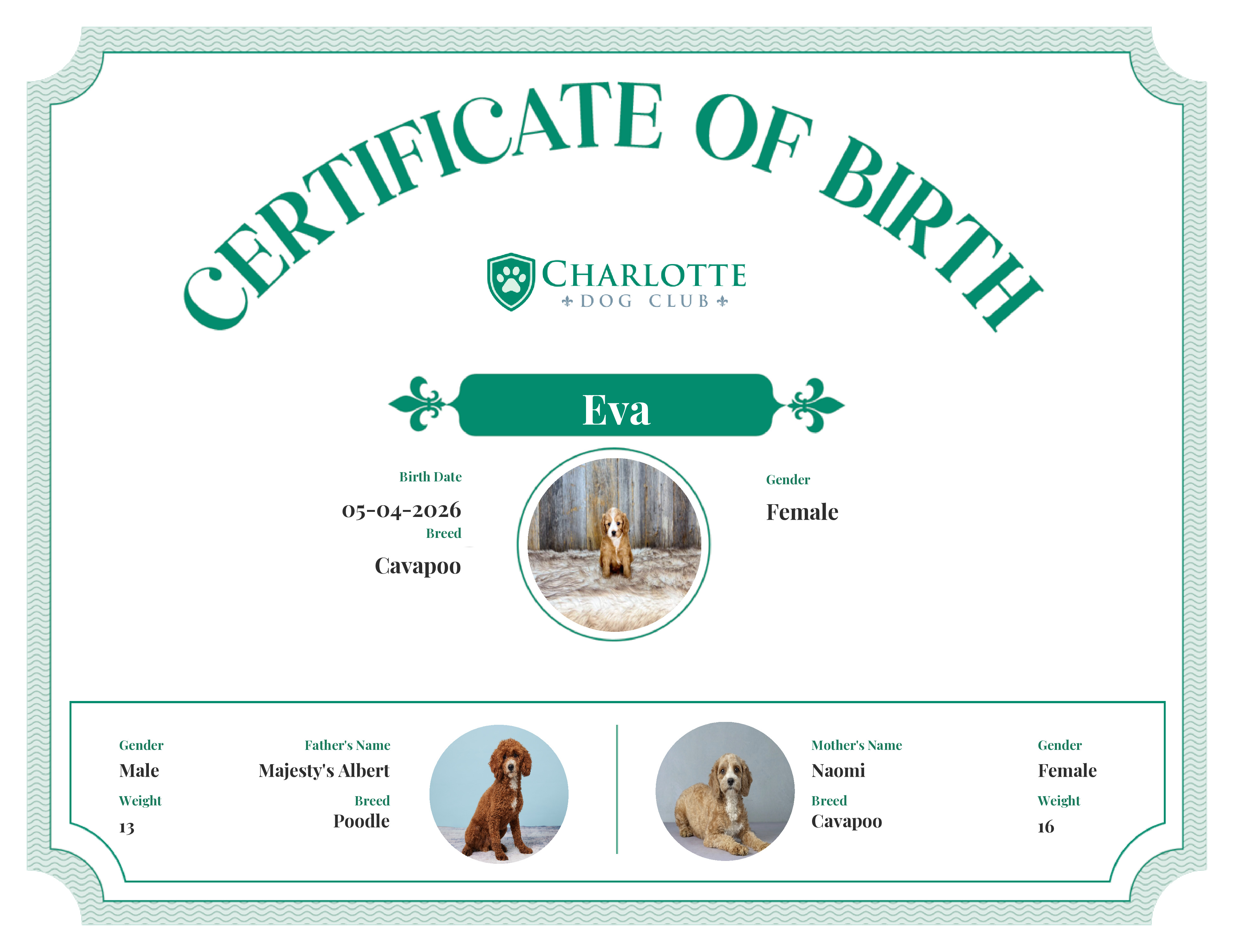 Eva's Birth Certificate