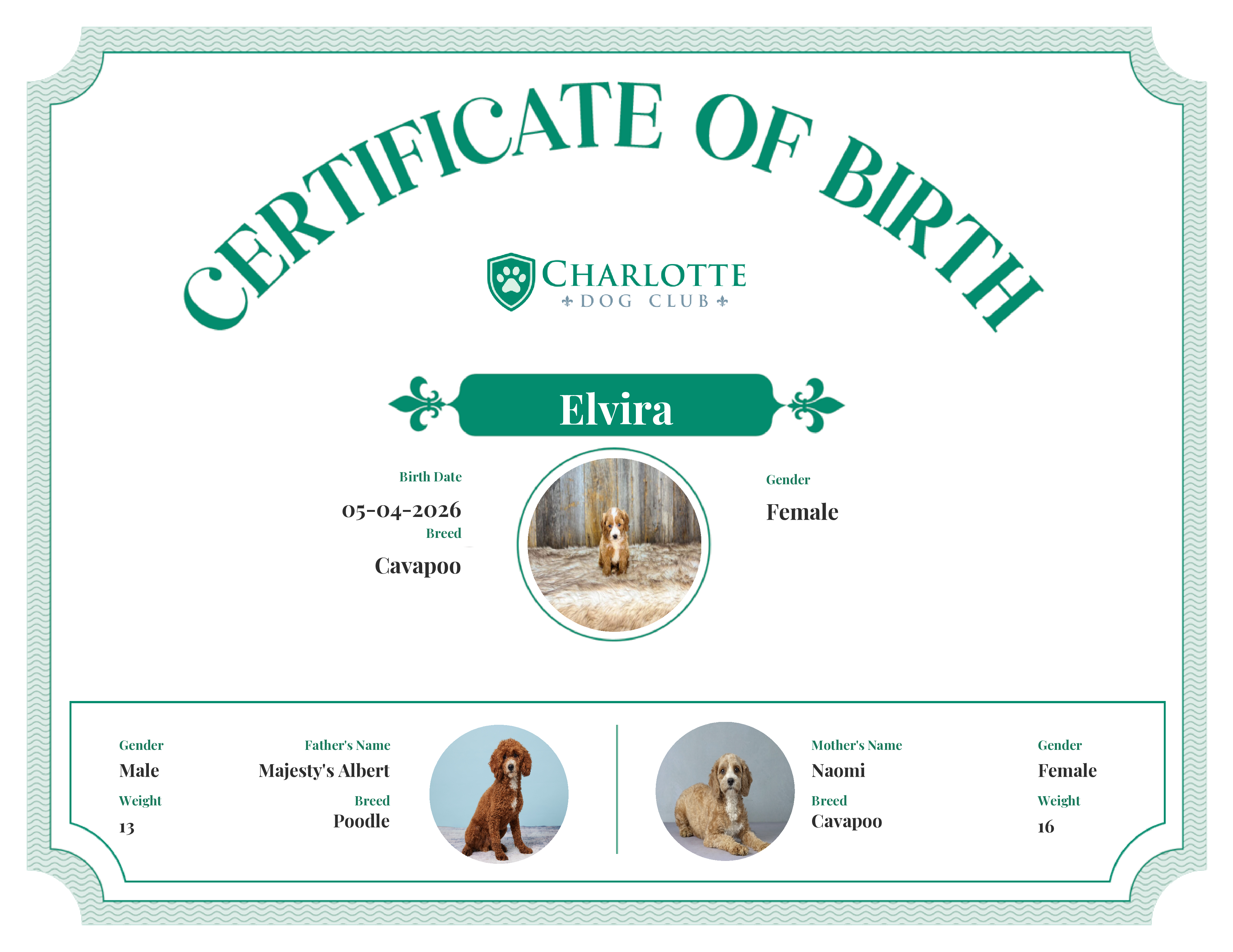 Elvira's Birth Certificate