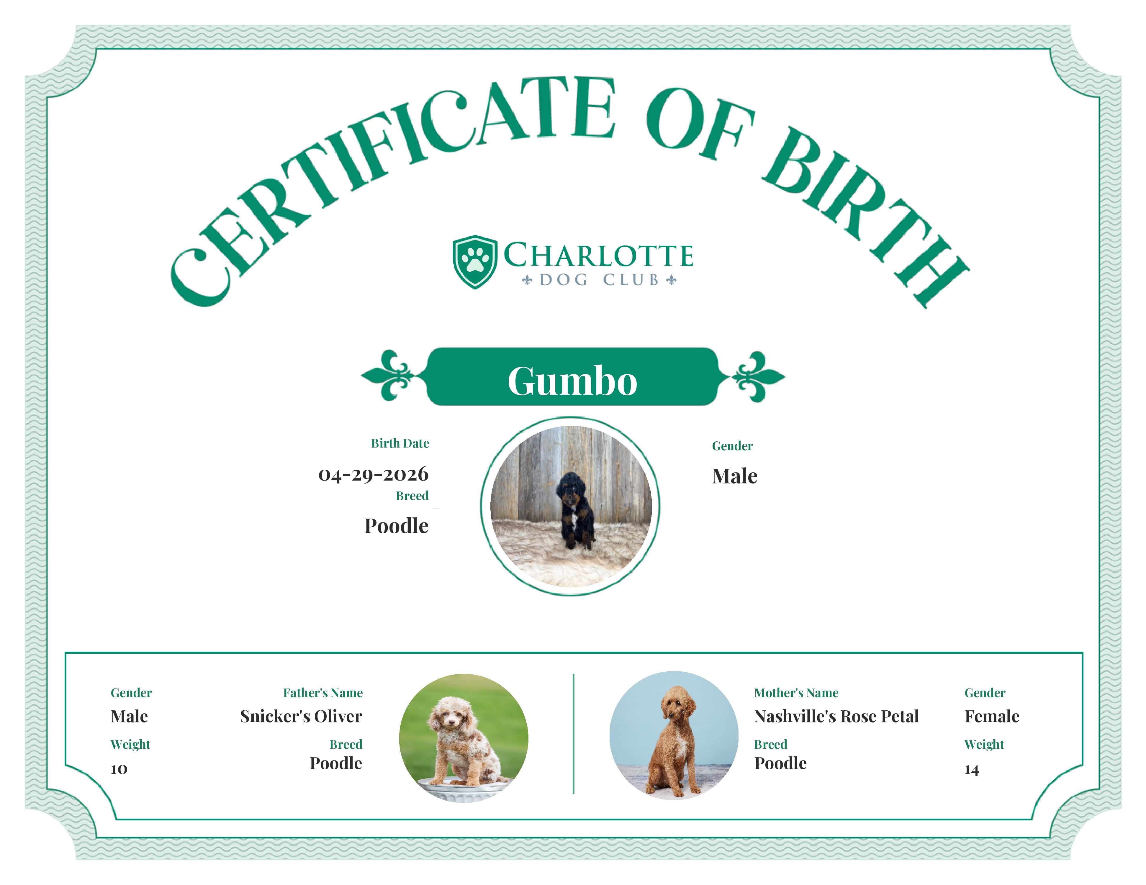 Gumbo's Birth Certificate