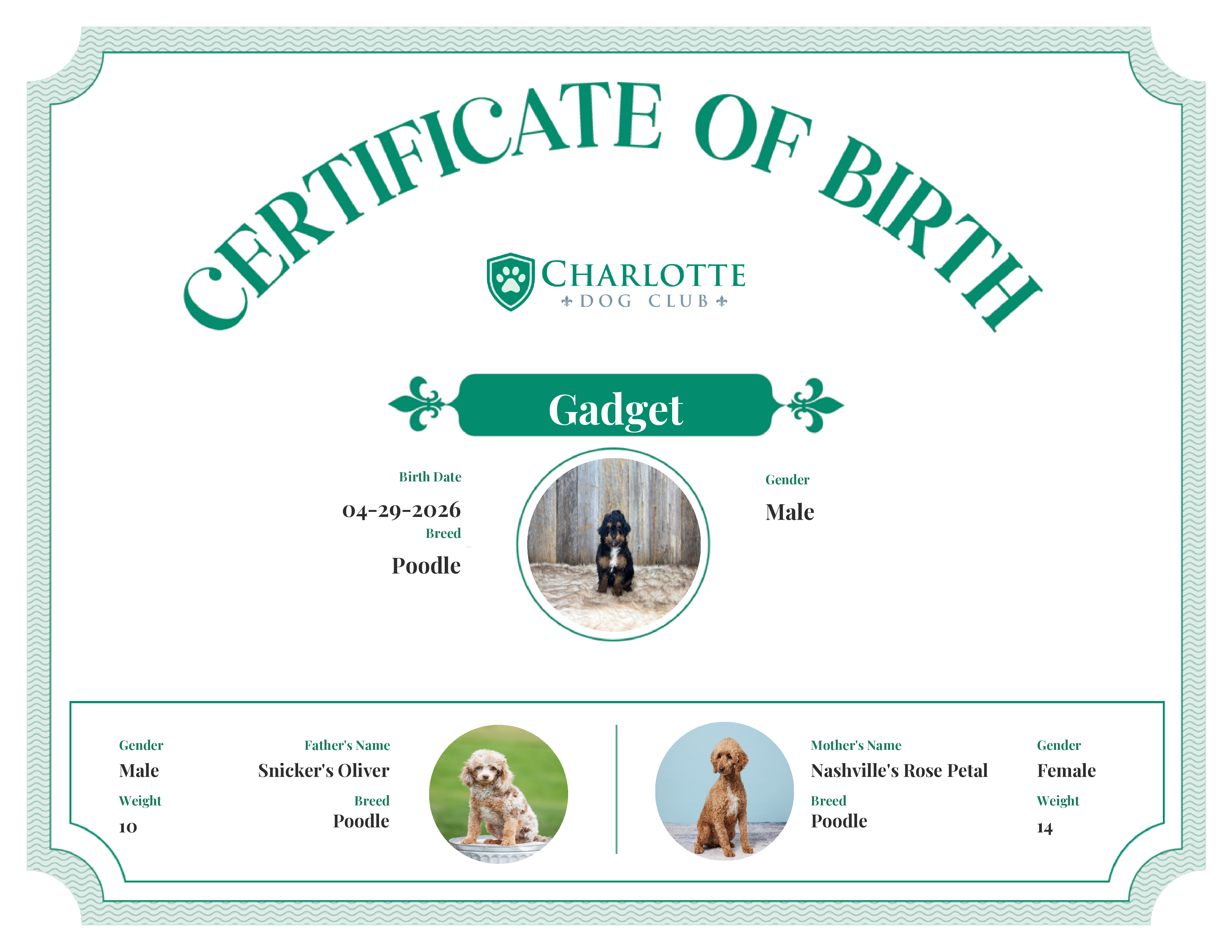 Gadget's Birth Certificate