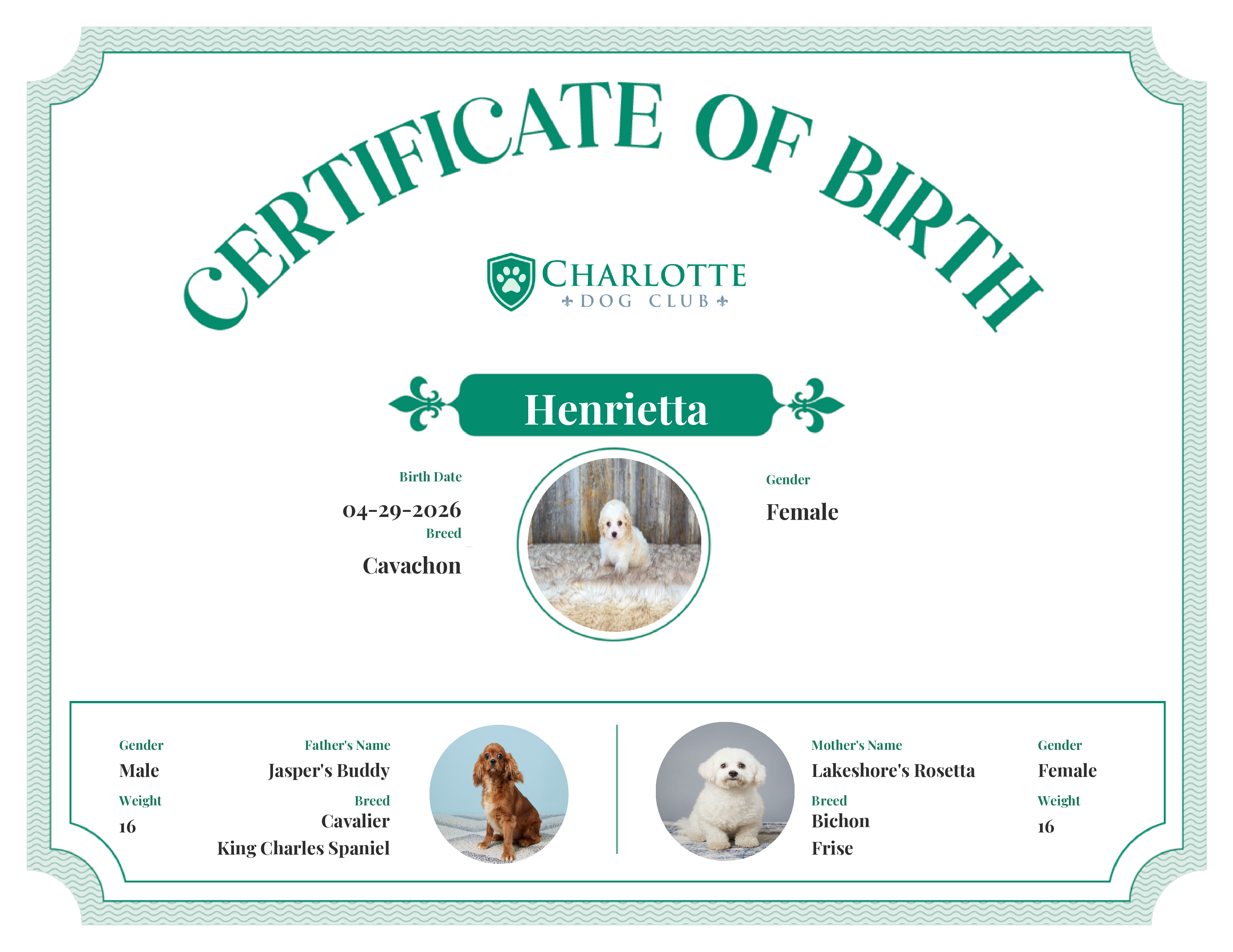 Henrietta's Birth Certificate