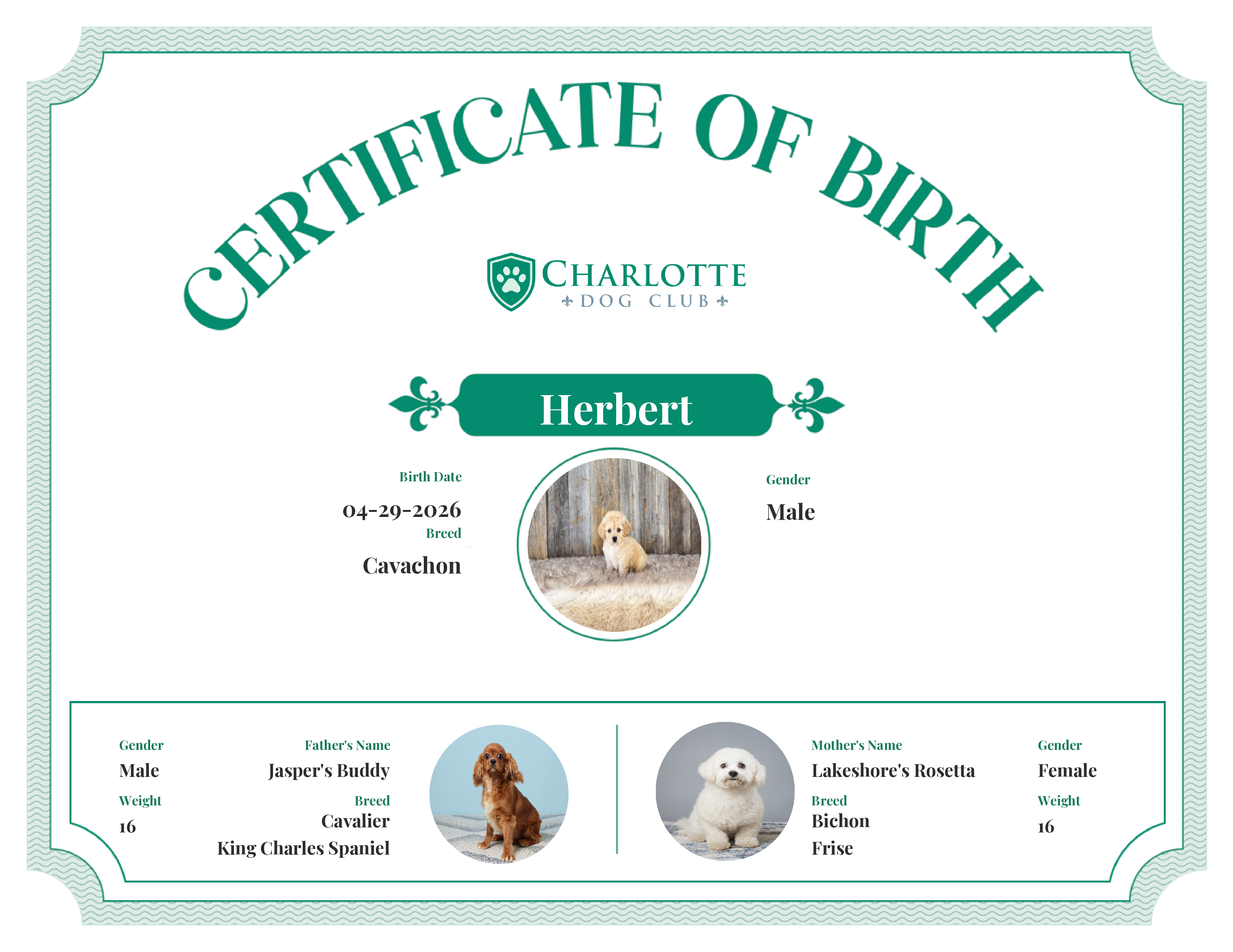 Herbert's Birth Certificate