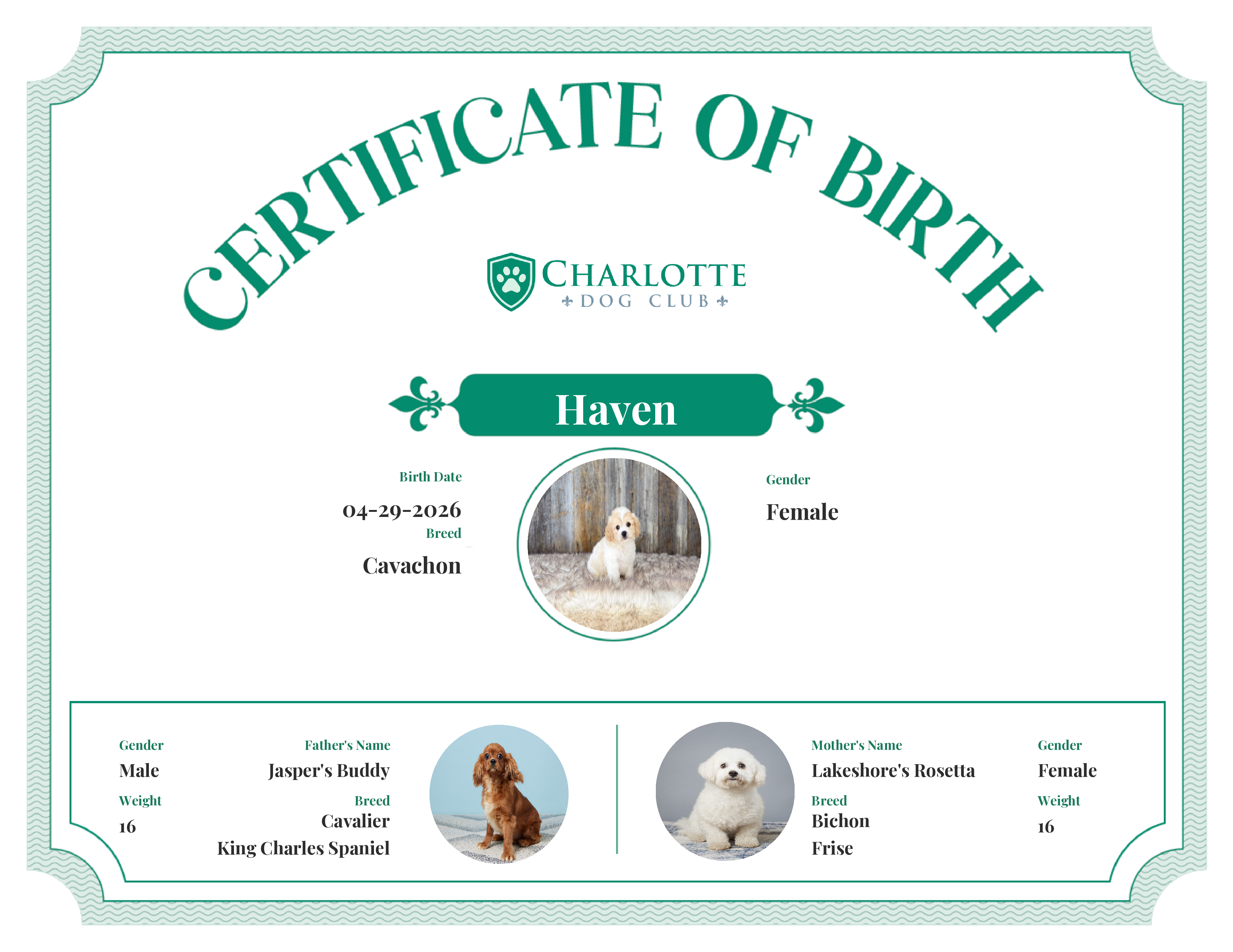 Haven's Birth Certificate