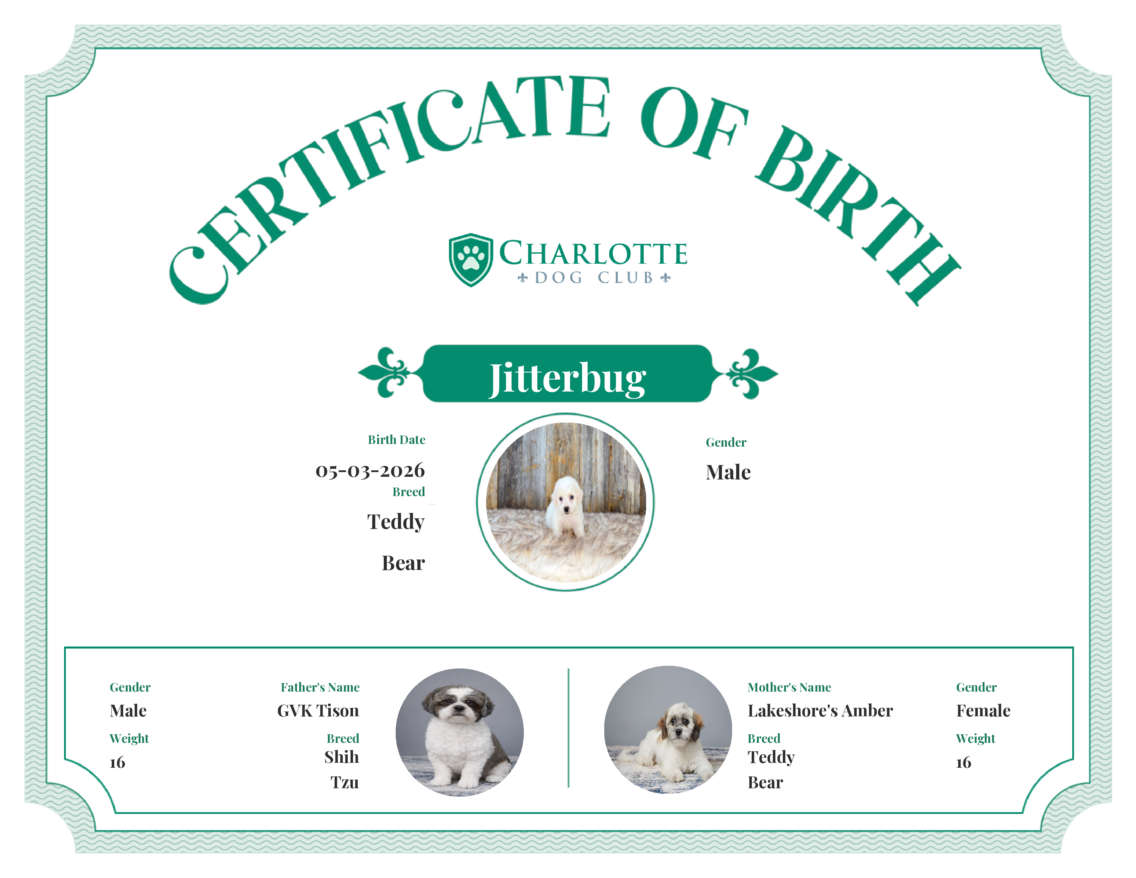 Jitterbug's Birth Certificate