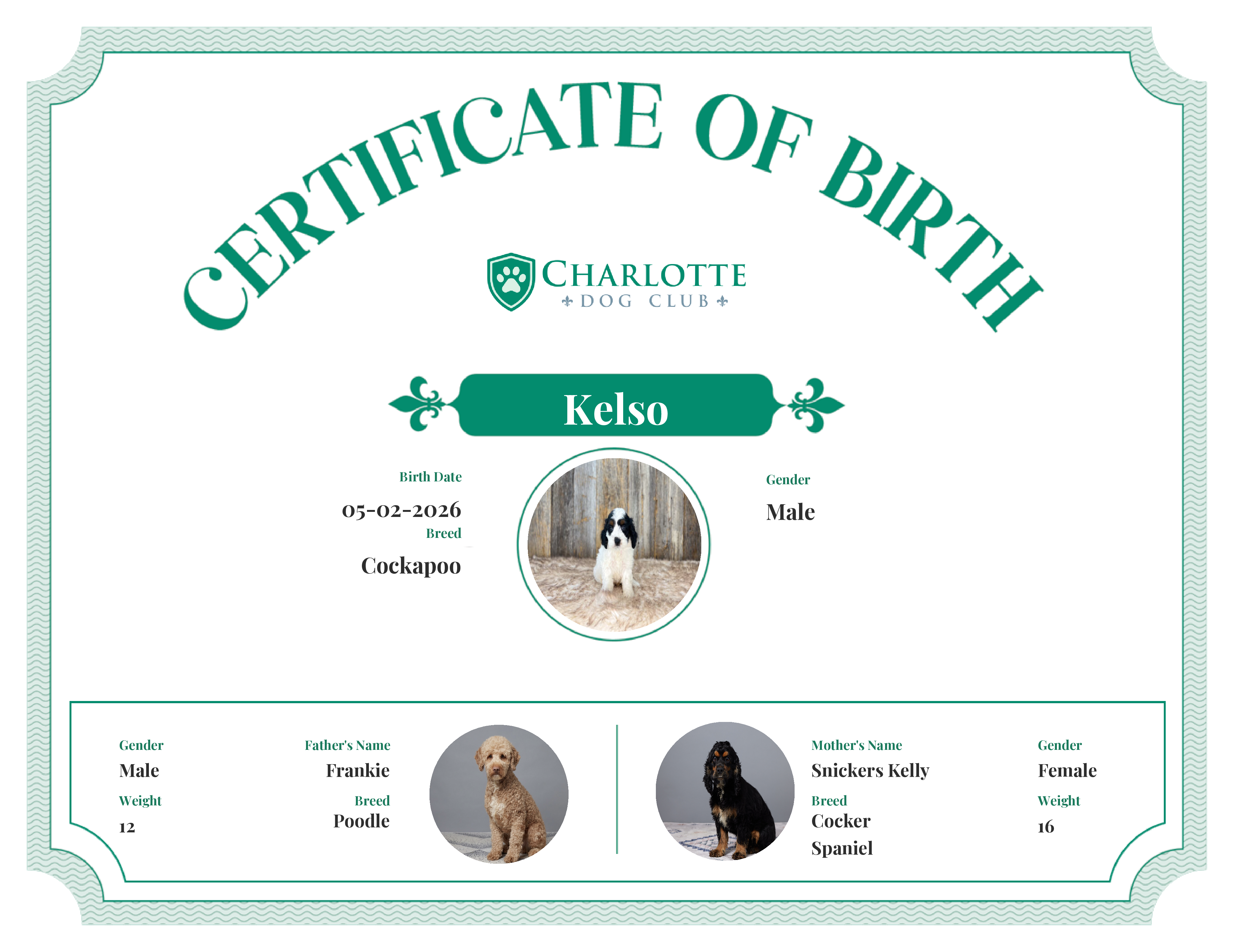 Kelso's Birth Certificate