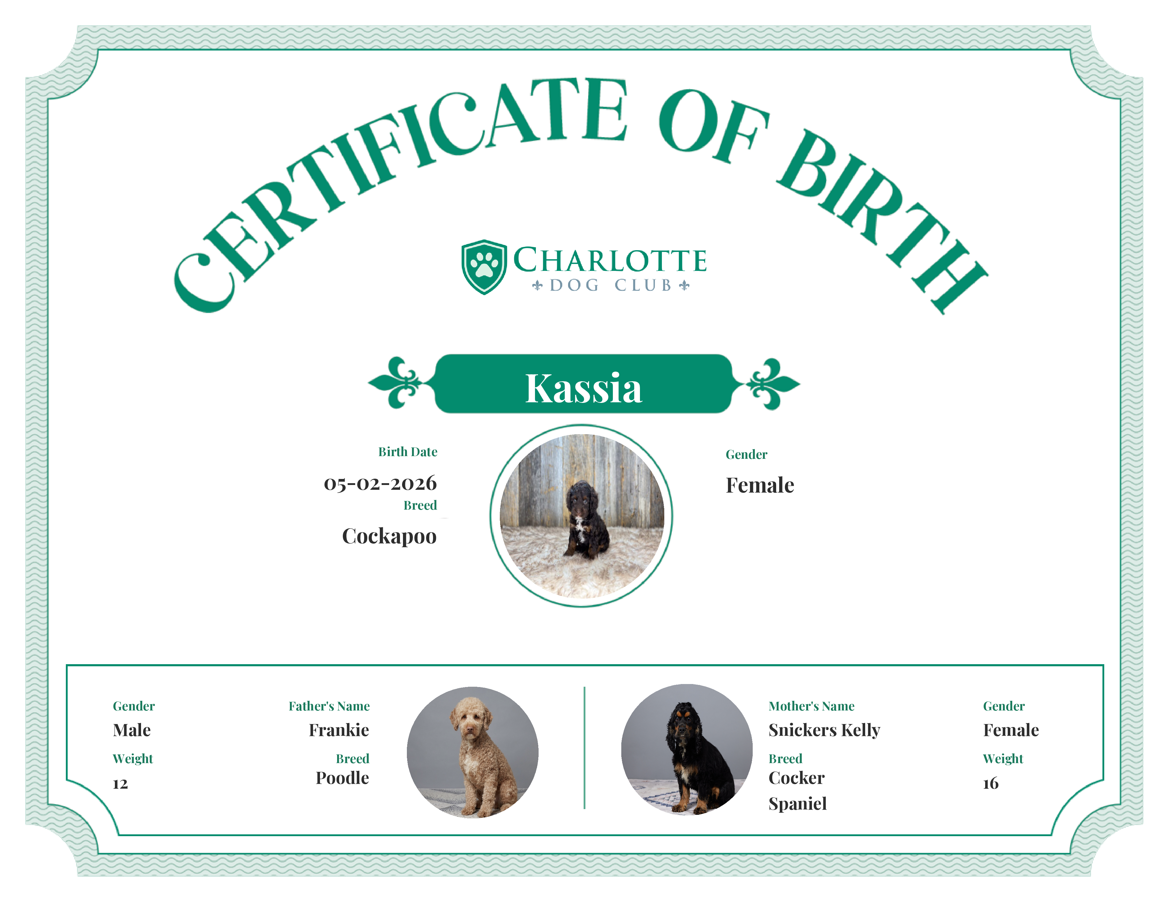 Kassia's Birth Certificate