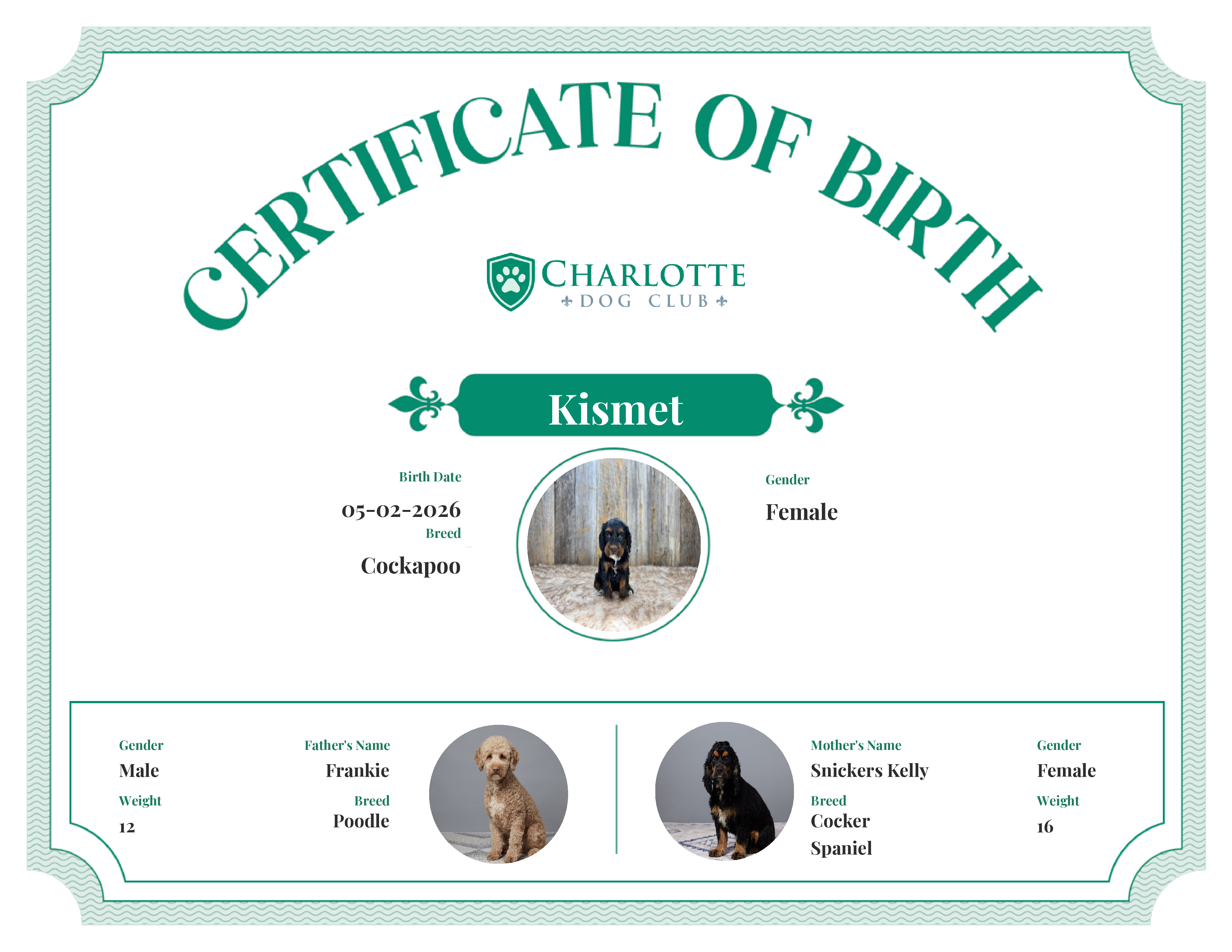 Kismet's Birth Certificate