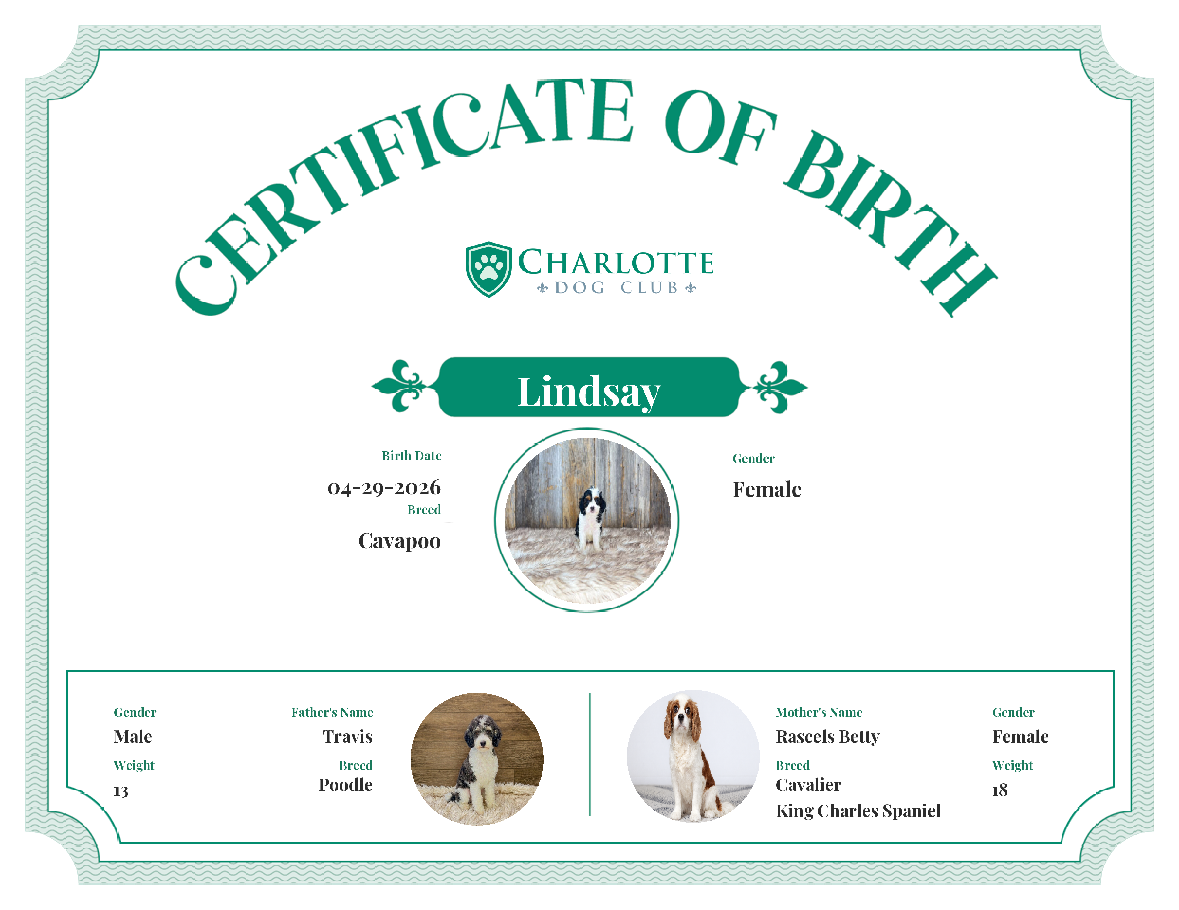 Lindsay's Birth Certificate