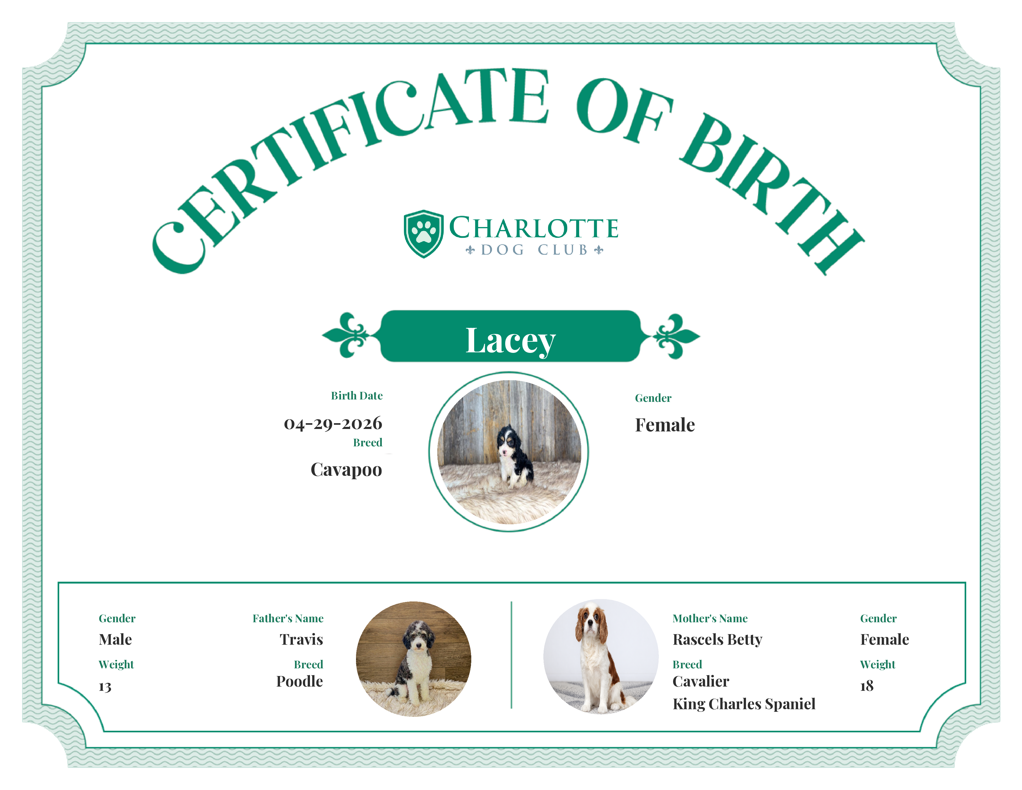 Lacey's Birth Certificate