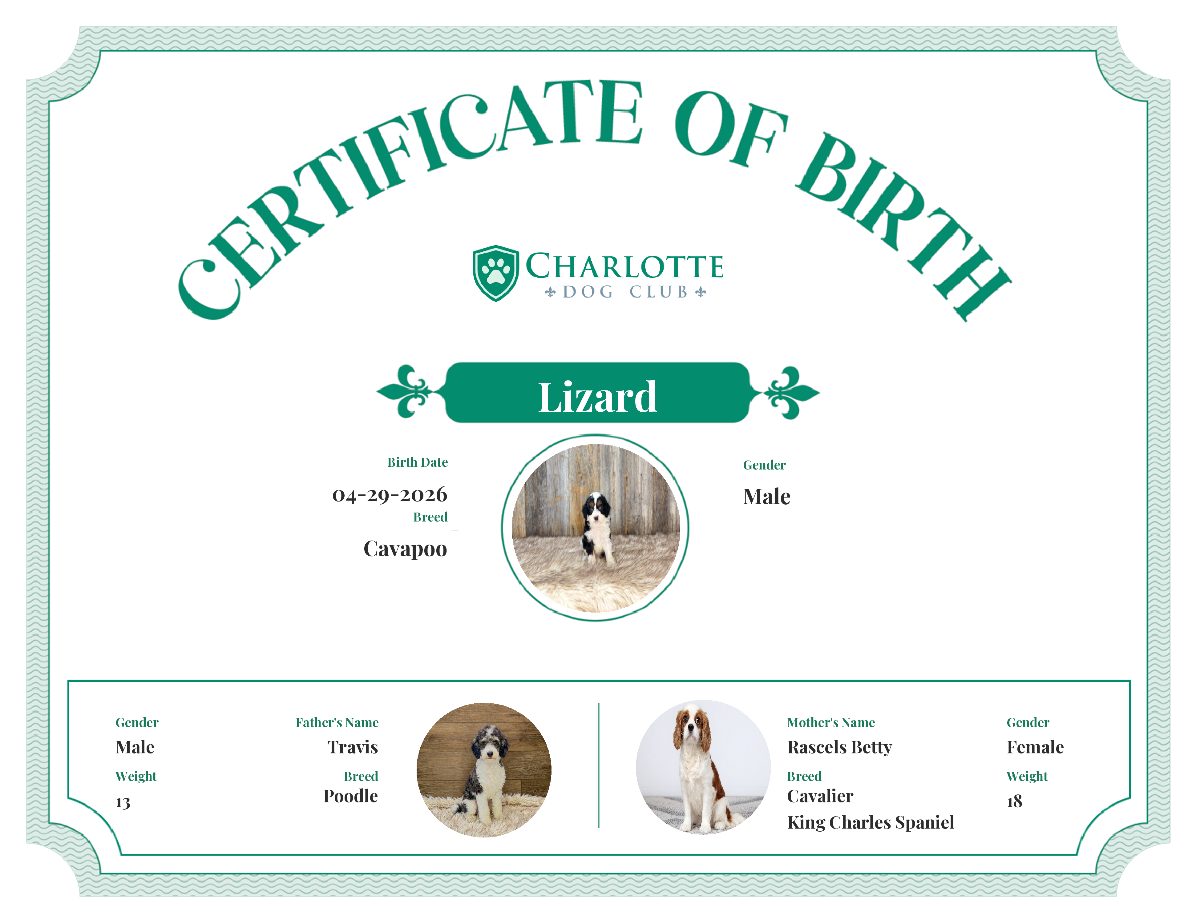 Lizard's Birth Certificate