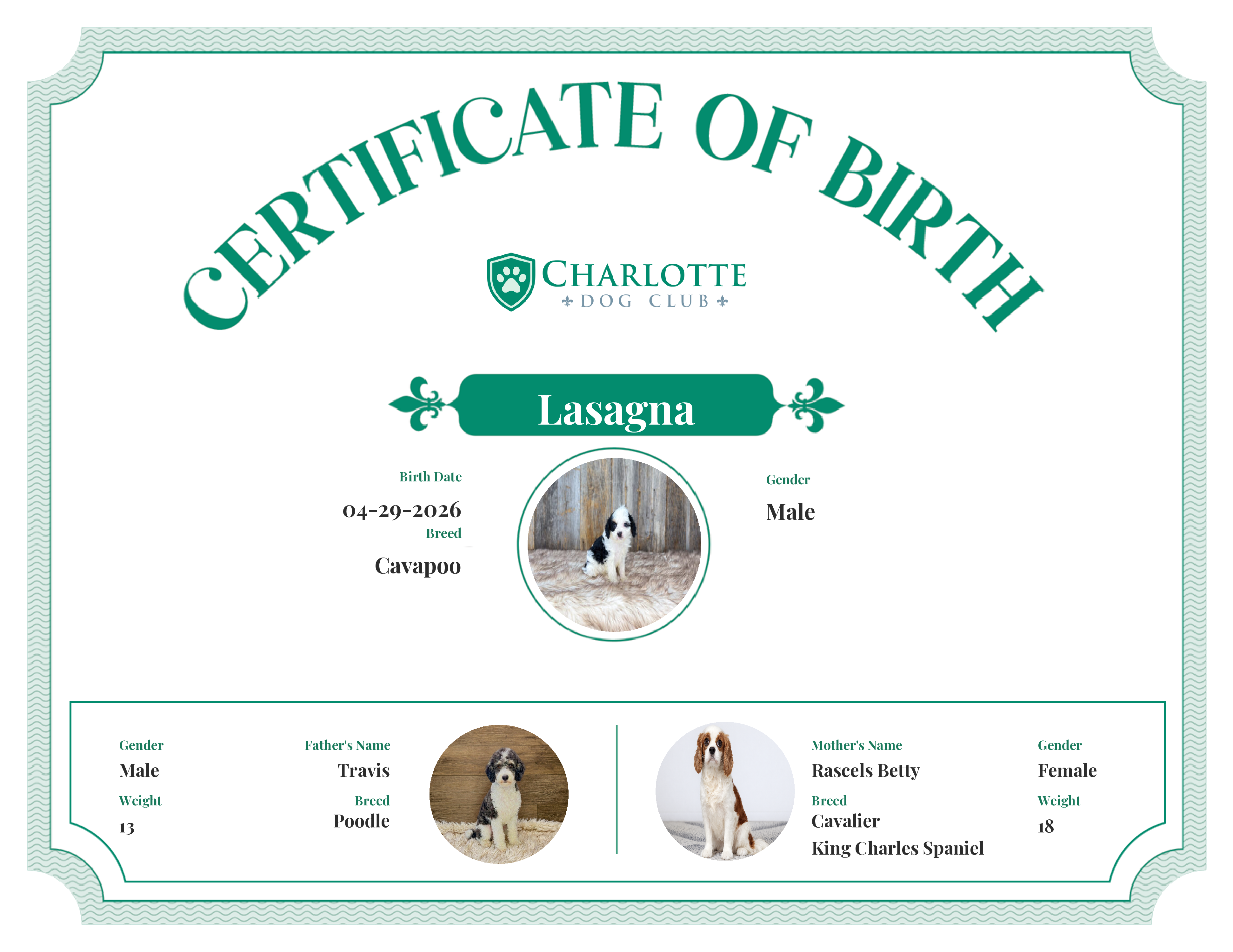Lasagna's Birth Certificate