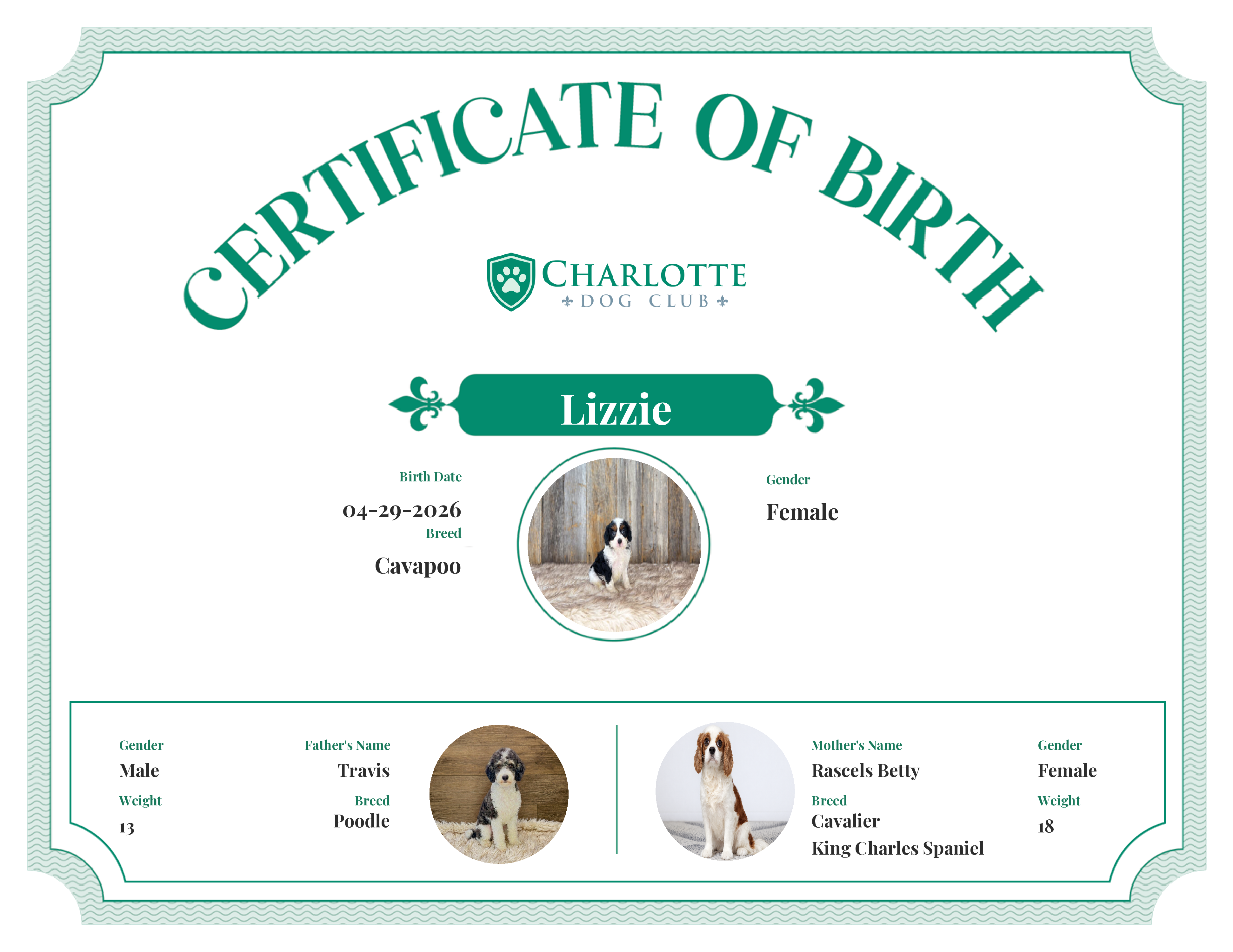 Lizzie's Birth Certificate