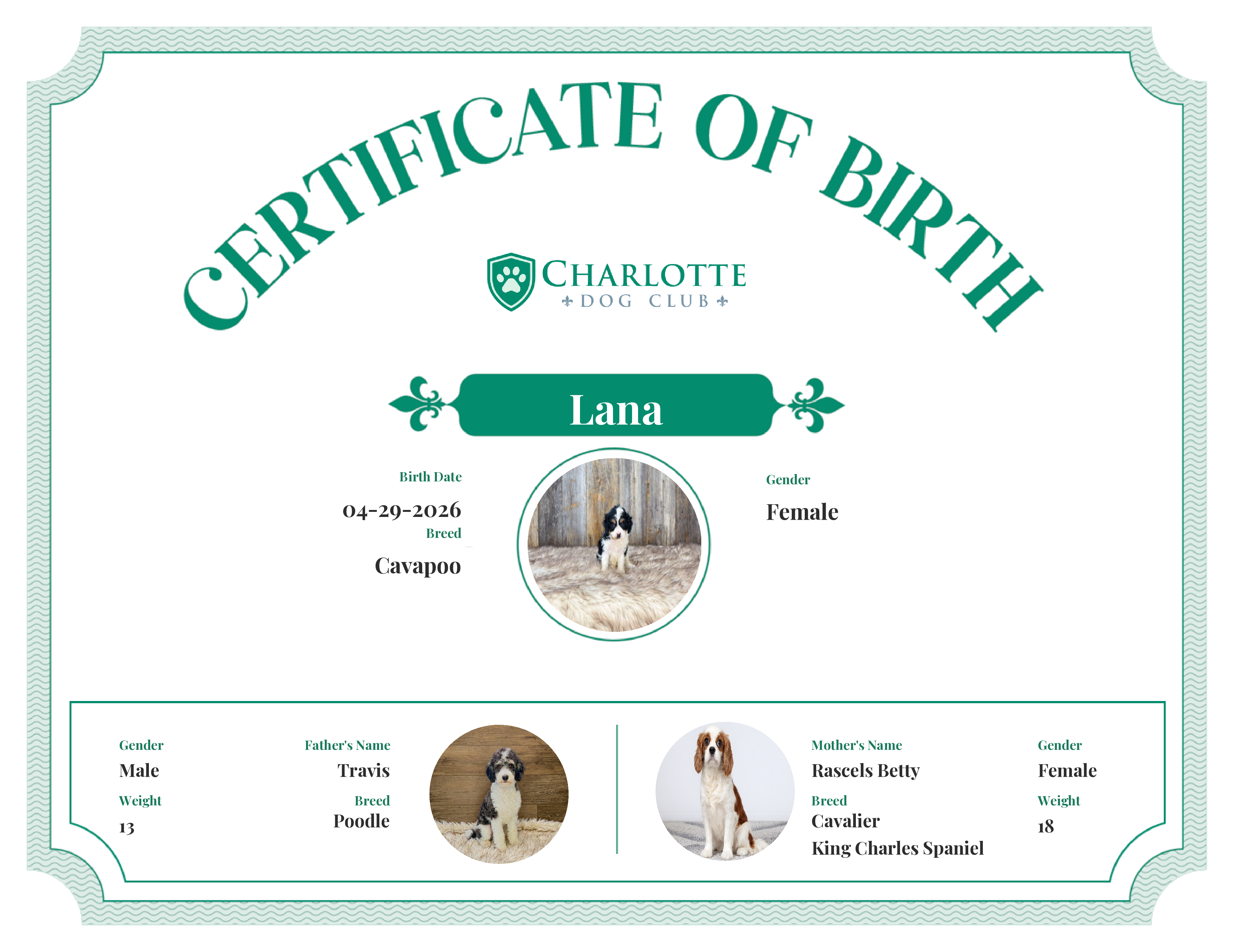 Lana's Birth Certificate