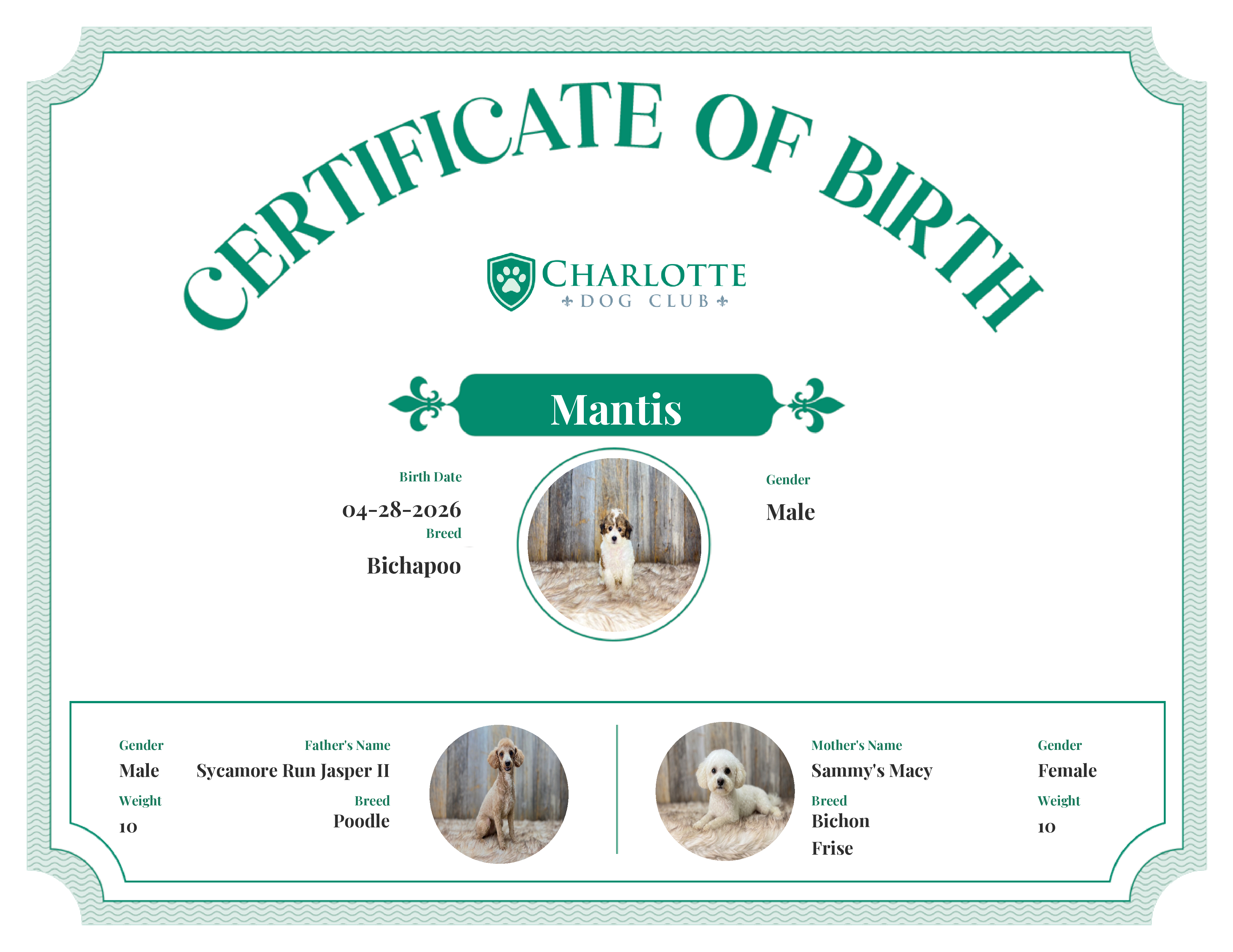 Mantis's Birth Certificate