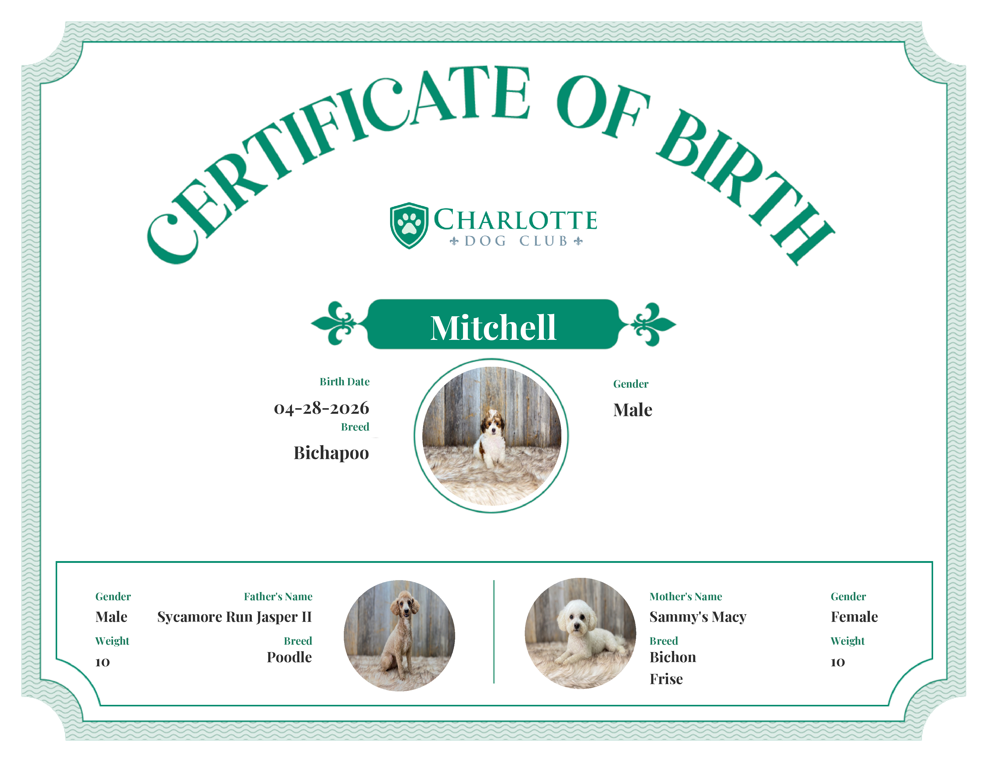Mitchell's Birth Certificate