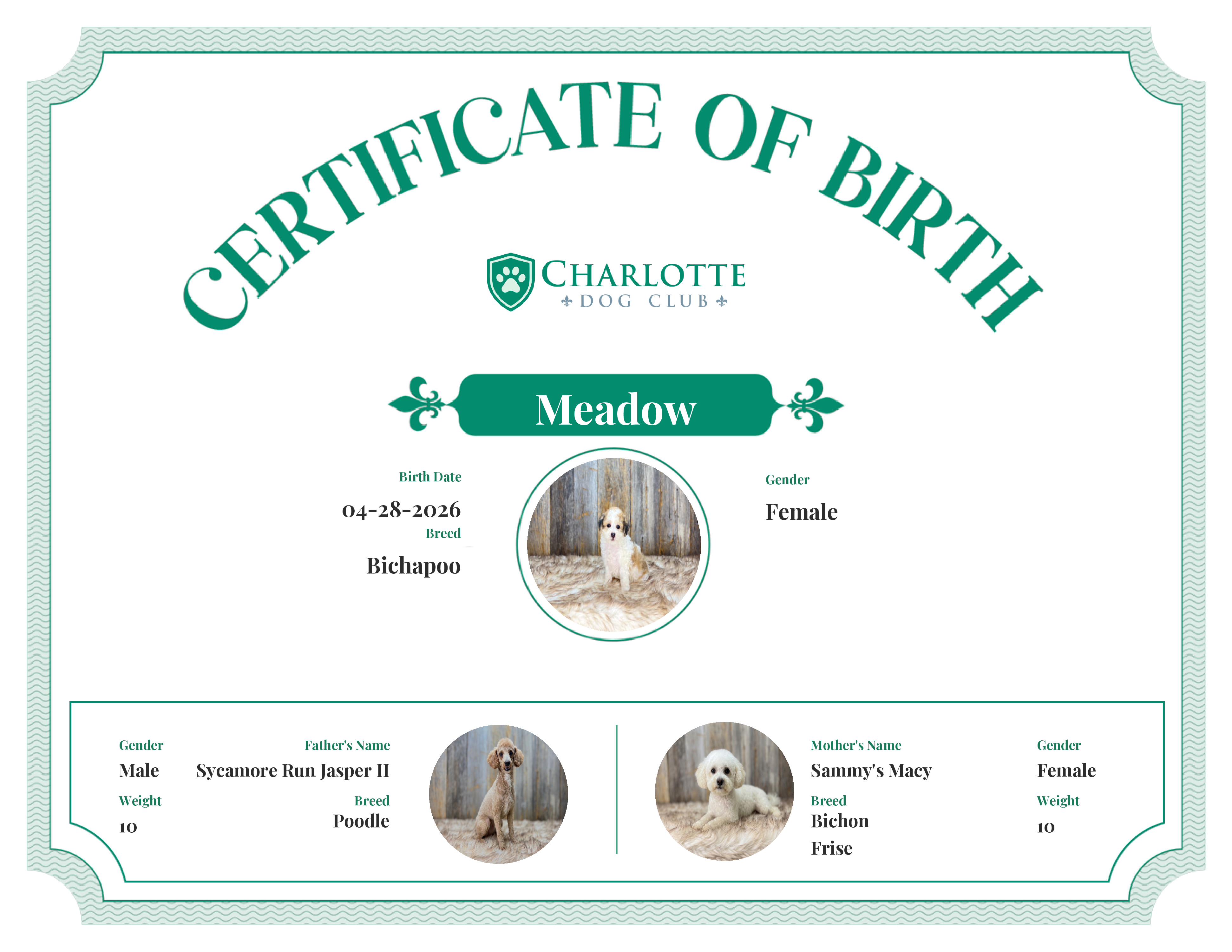 Meadow's Birth Certificate