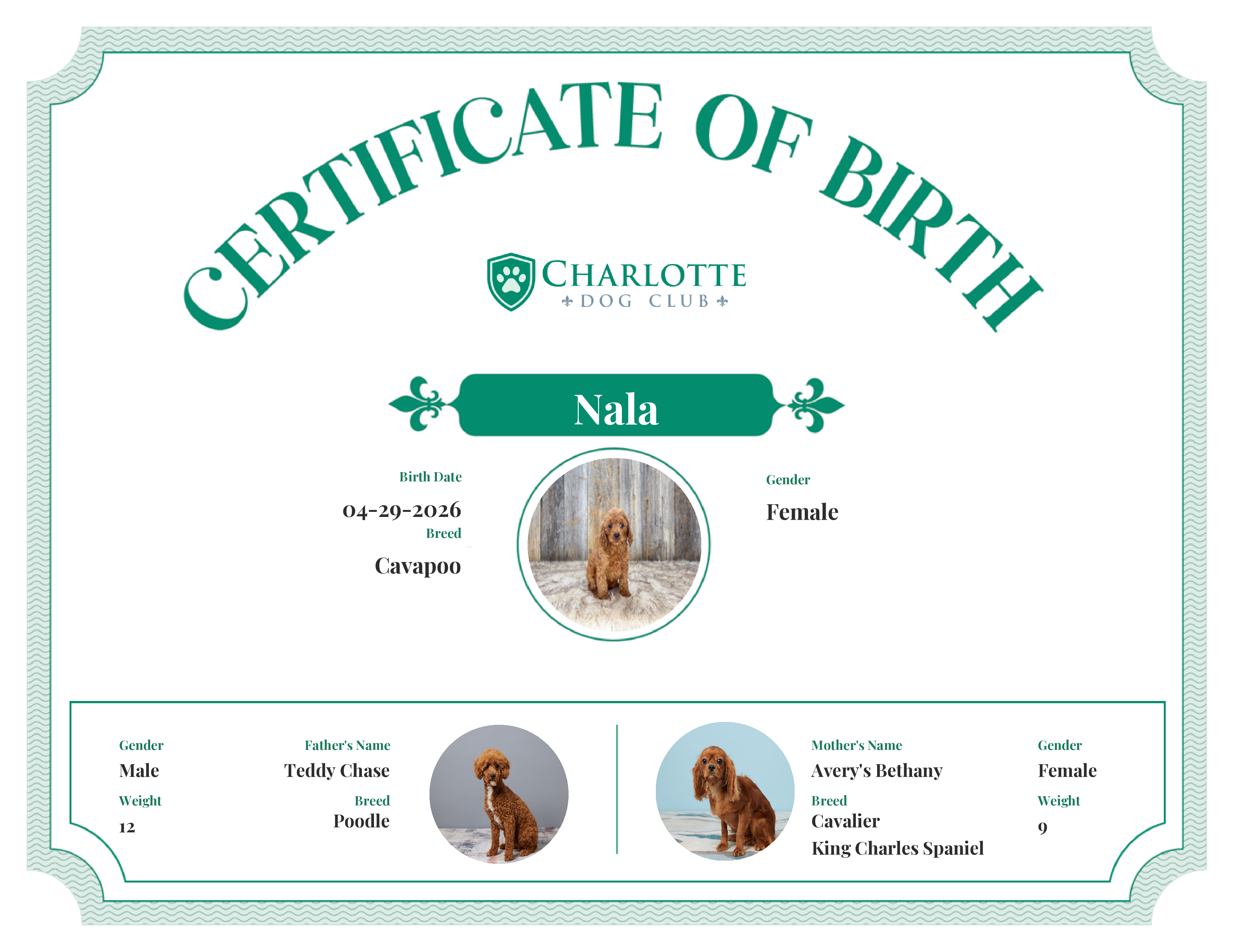 Nala's Birth Certificate