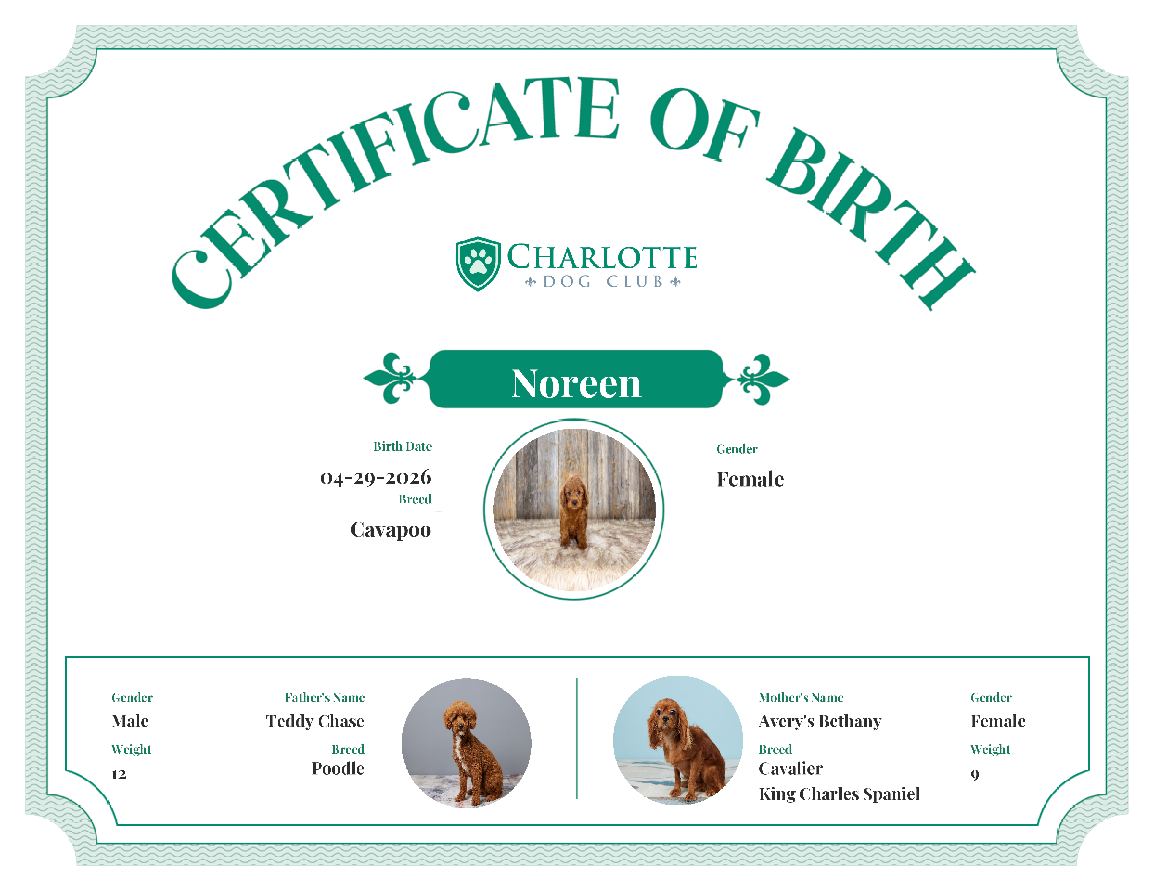 Noreen's Birth Certificate