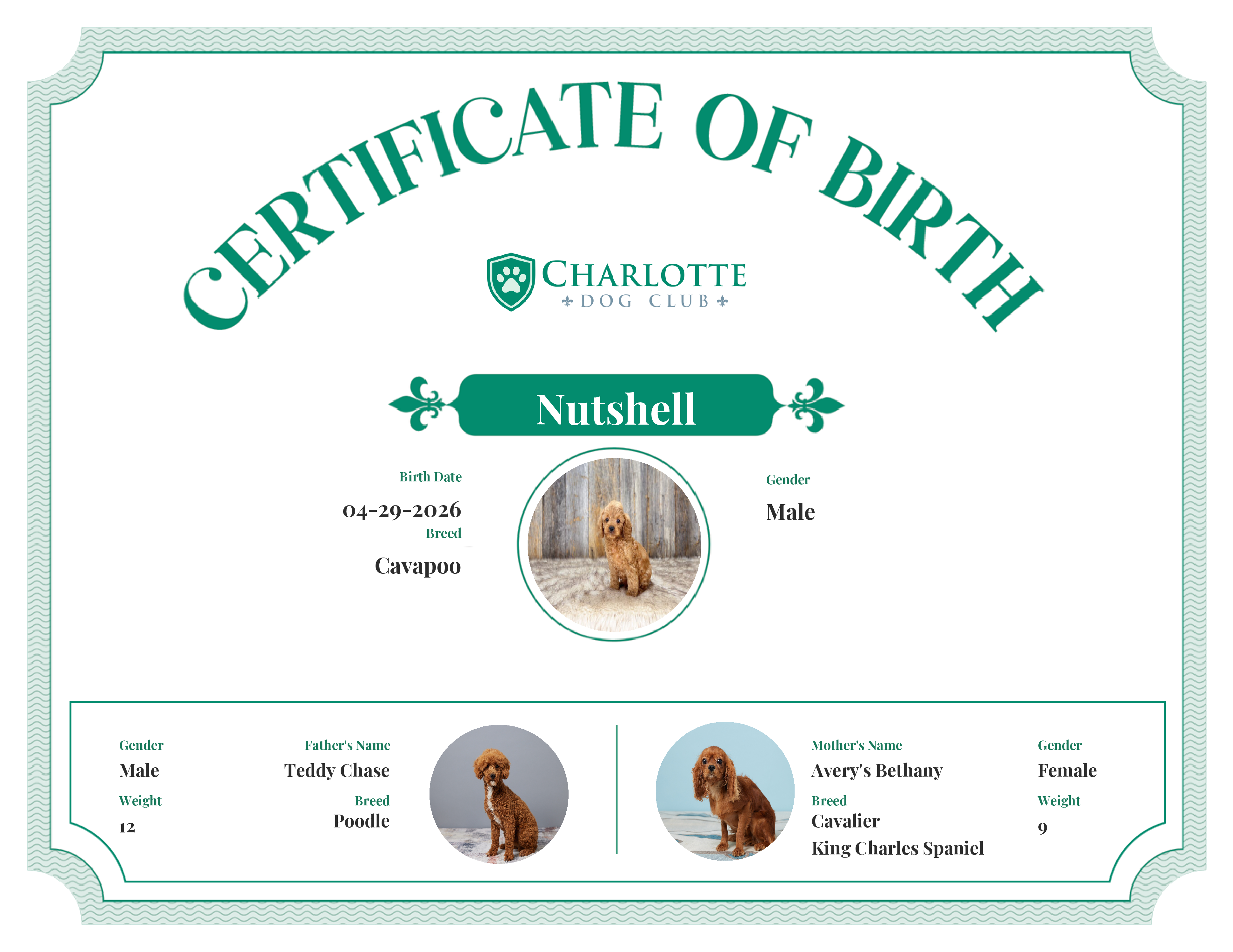Nutshell's Birth Certificate