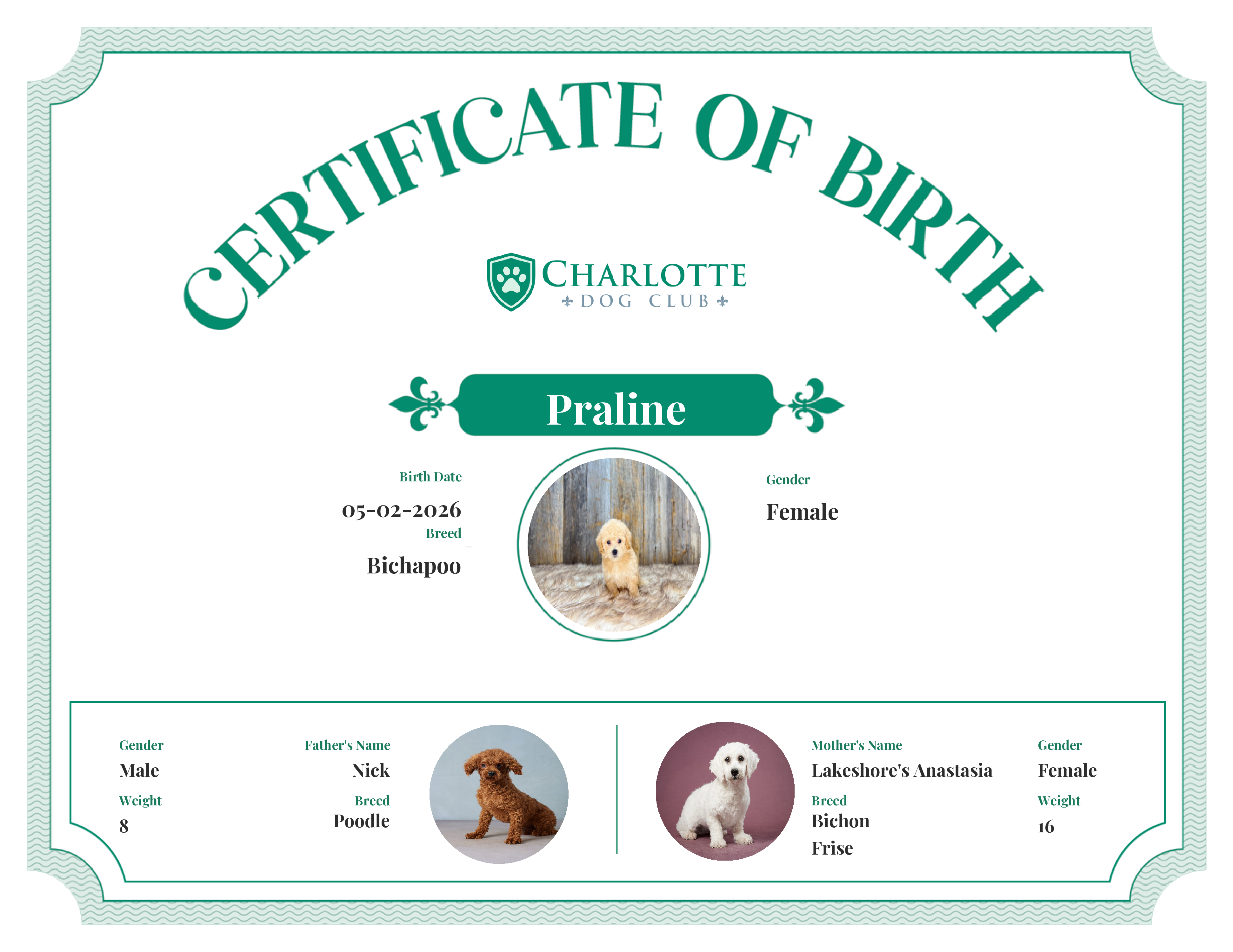 Praline's Birth Certificate