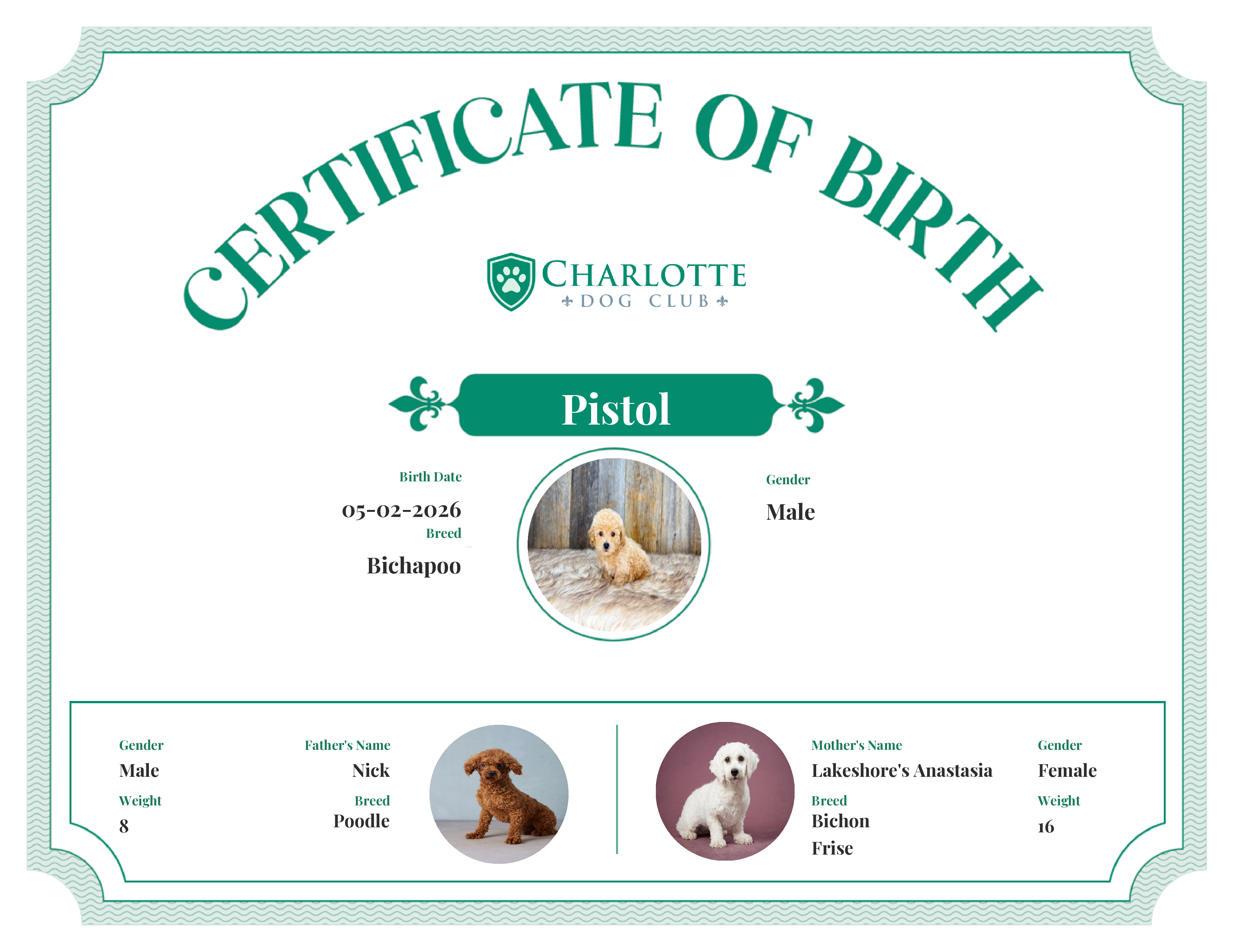 Pistol's Birth Certificate