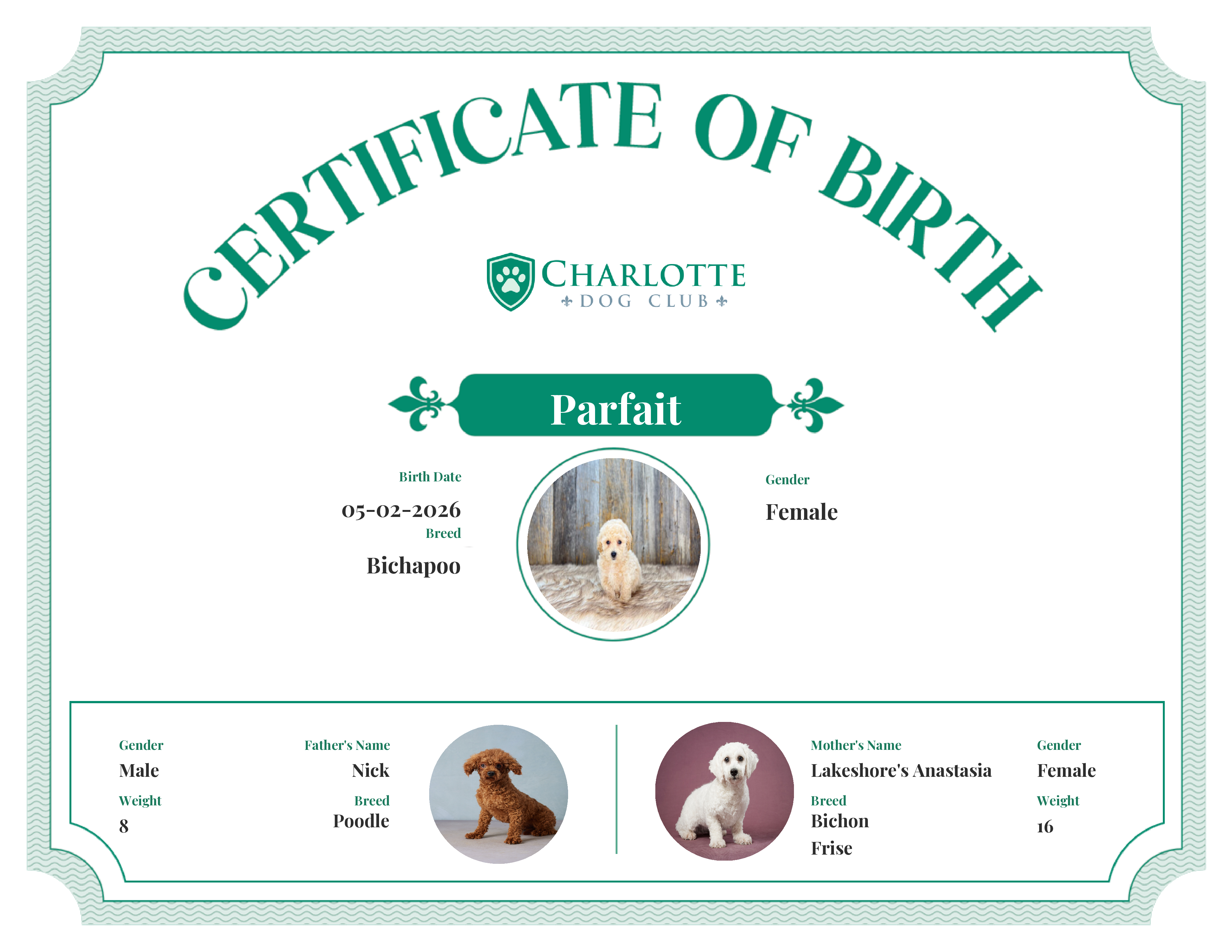 Parfait's Birth Certificate