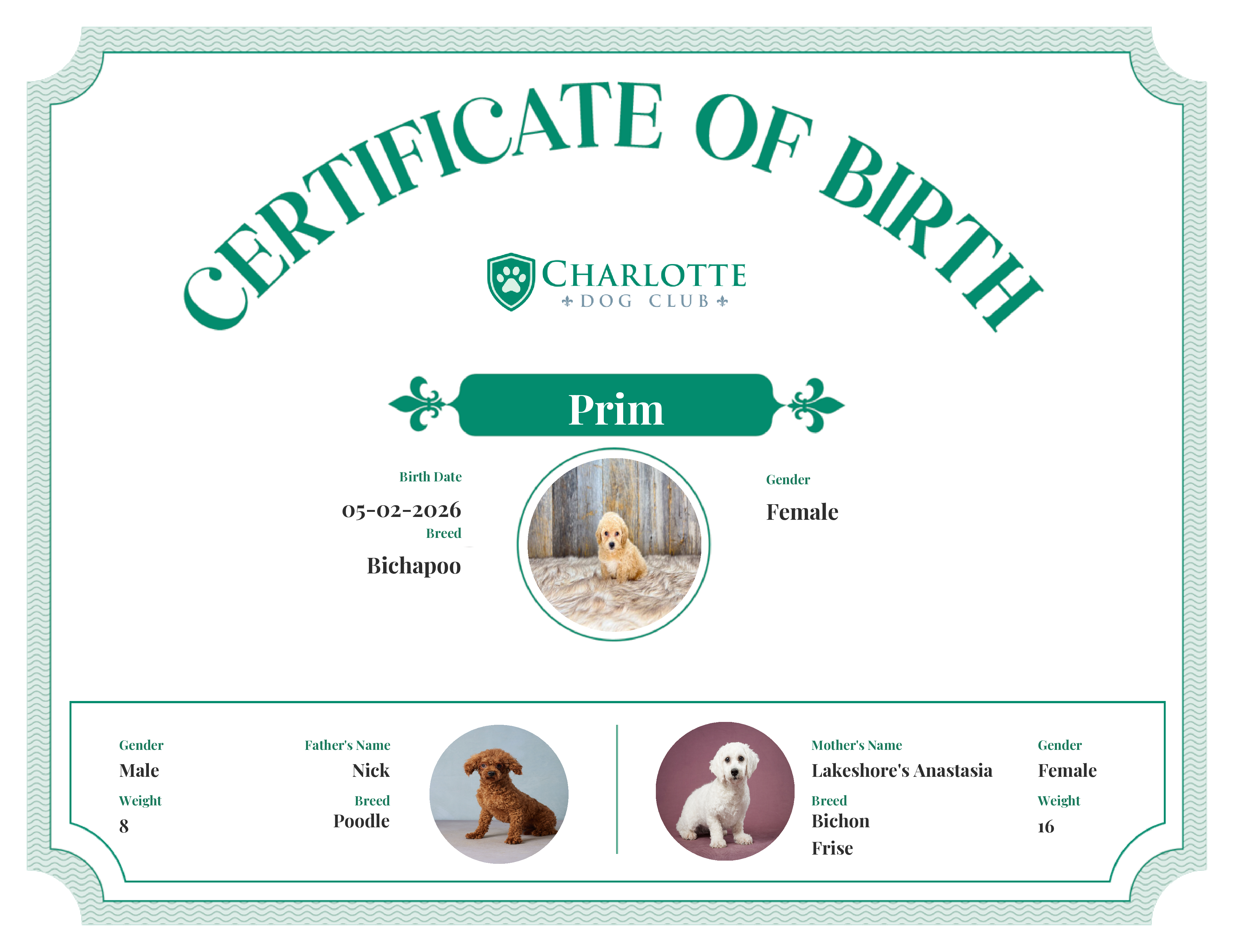 Prim's Birth Certificate